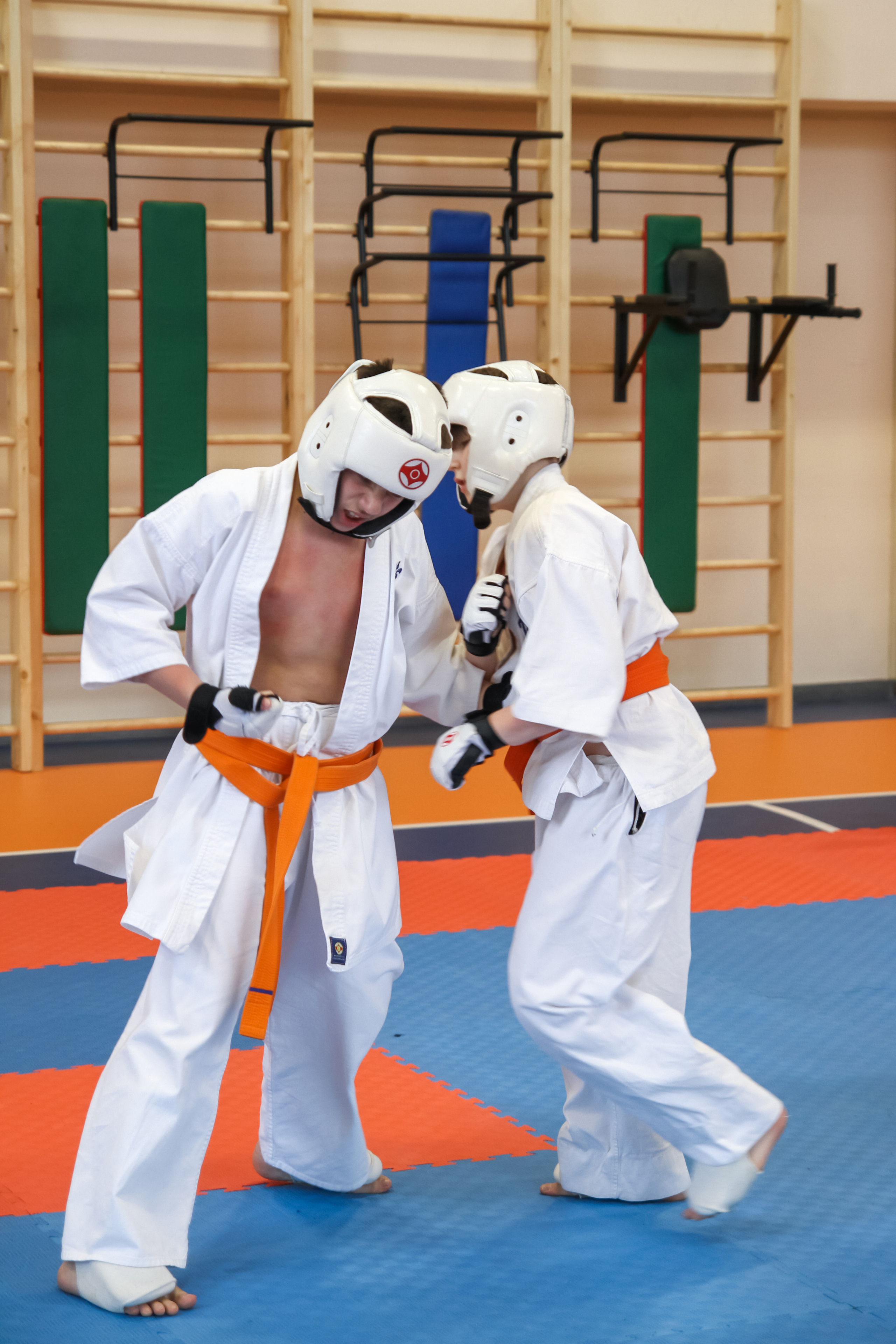 Соревнования по киокушинкай. Фотограф в Москве Анастасия Курлович