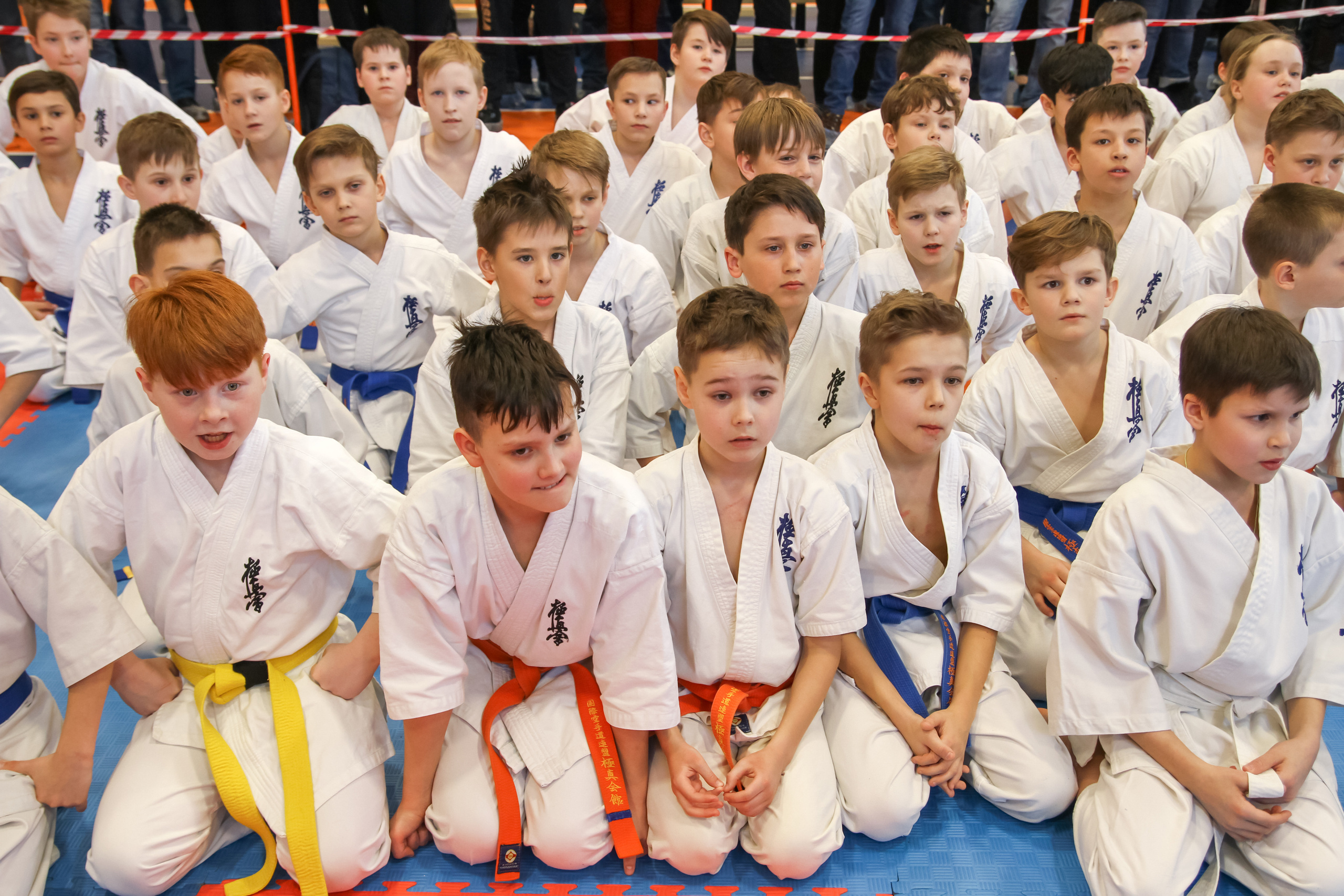 Соревнования по киокушинкай. Фотограф в Москве Анастасия Курлович