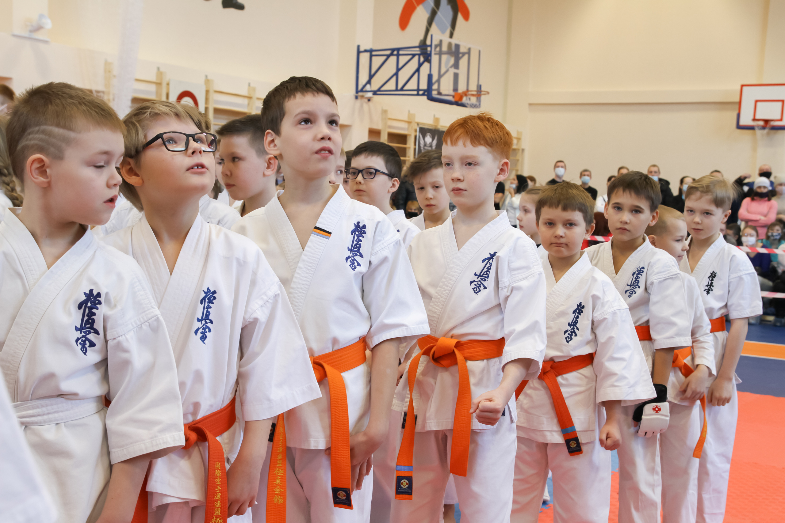 Соревнования по киокушинкай. Фотограф в Москве Анастасия Курлович