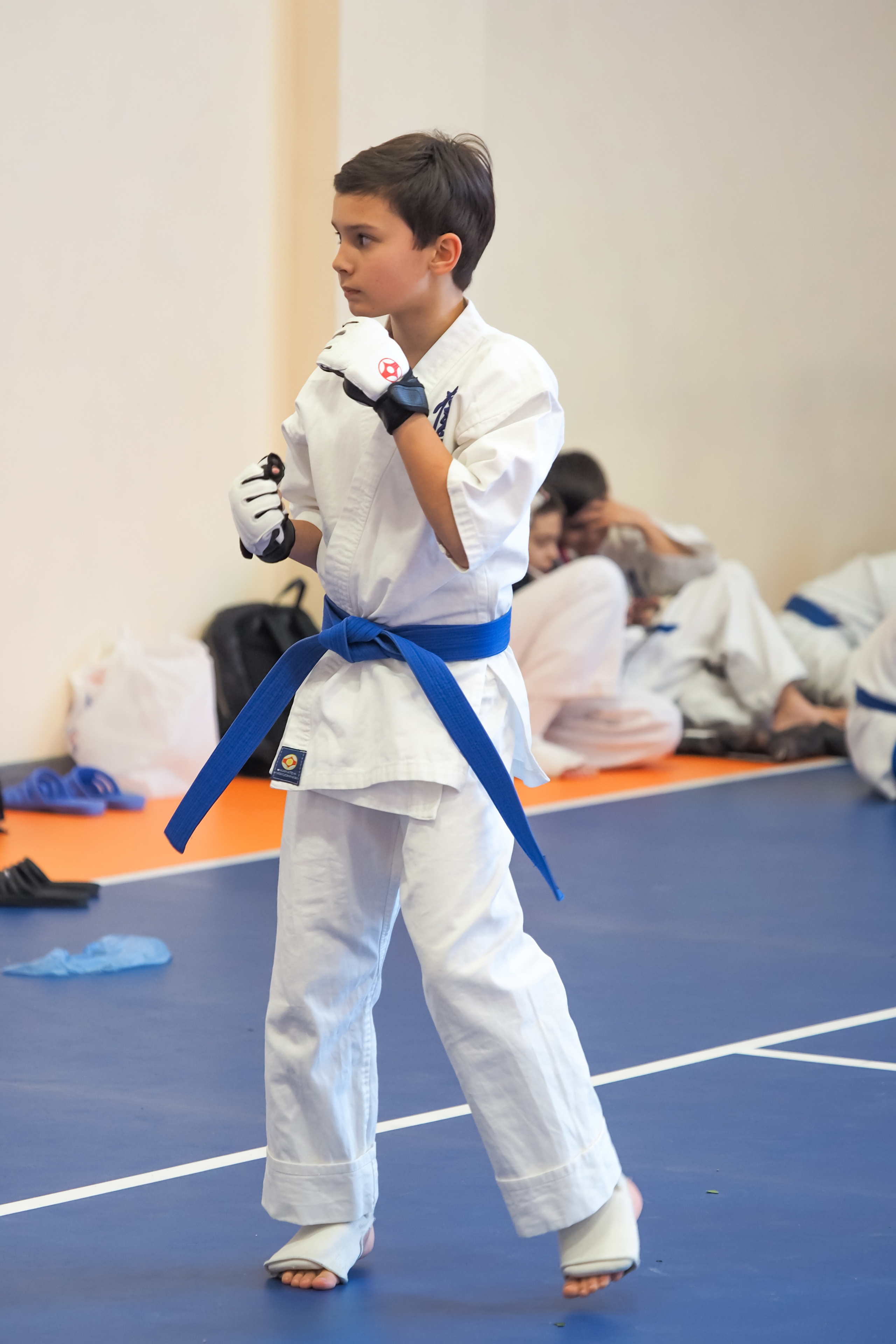 Соревнования по киокушинкай. Фотограф в Москве Анастасия Курлович