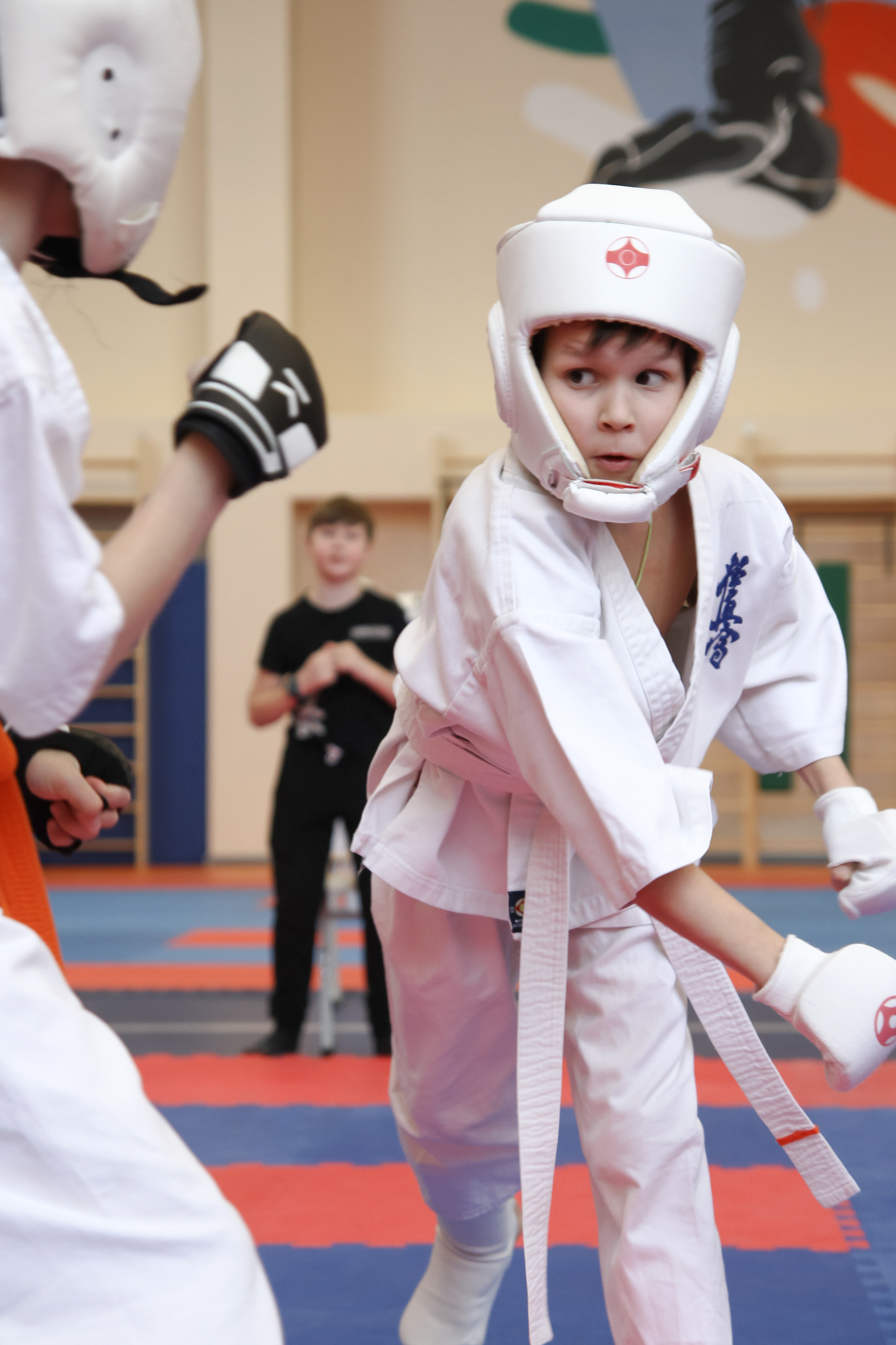 Соревнования по киокушинкай. Фотограф в Москве Анастасия Курлович