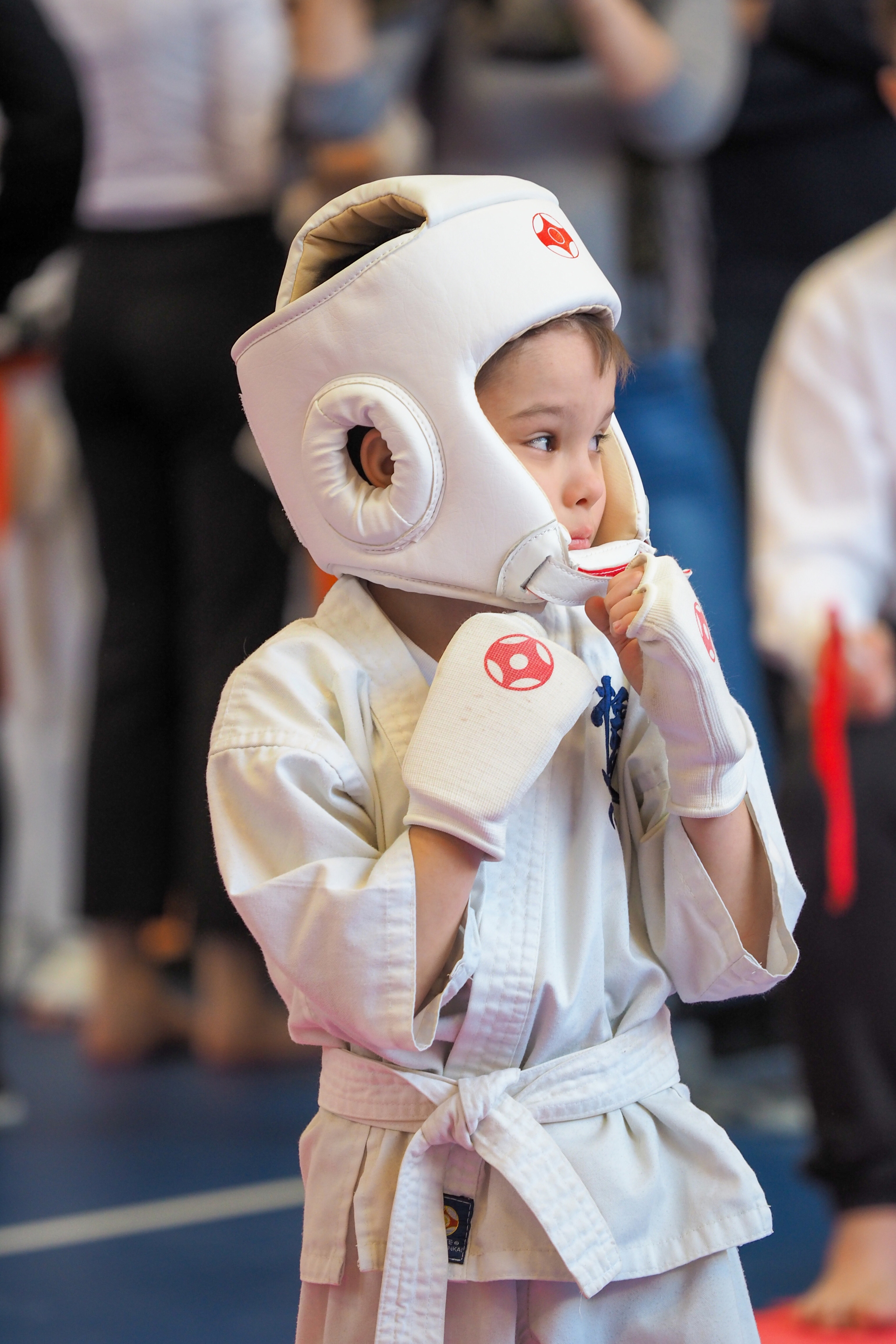 Соревнования по киокушинкай. Фотограф в Москве Анастасия Курлович