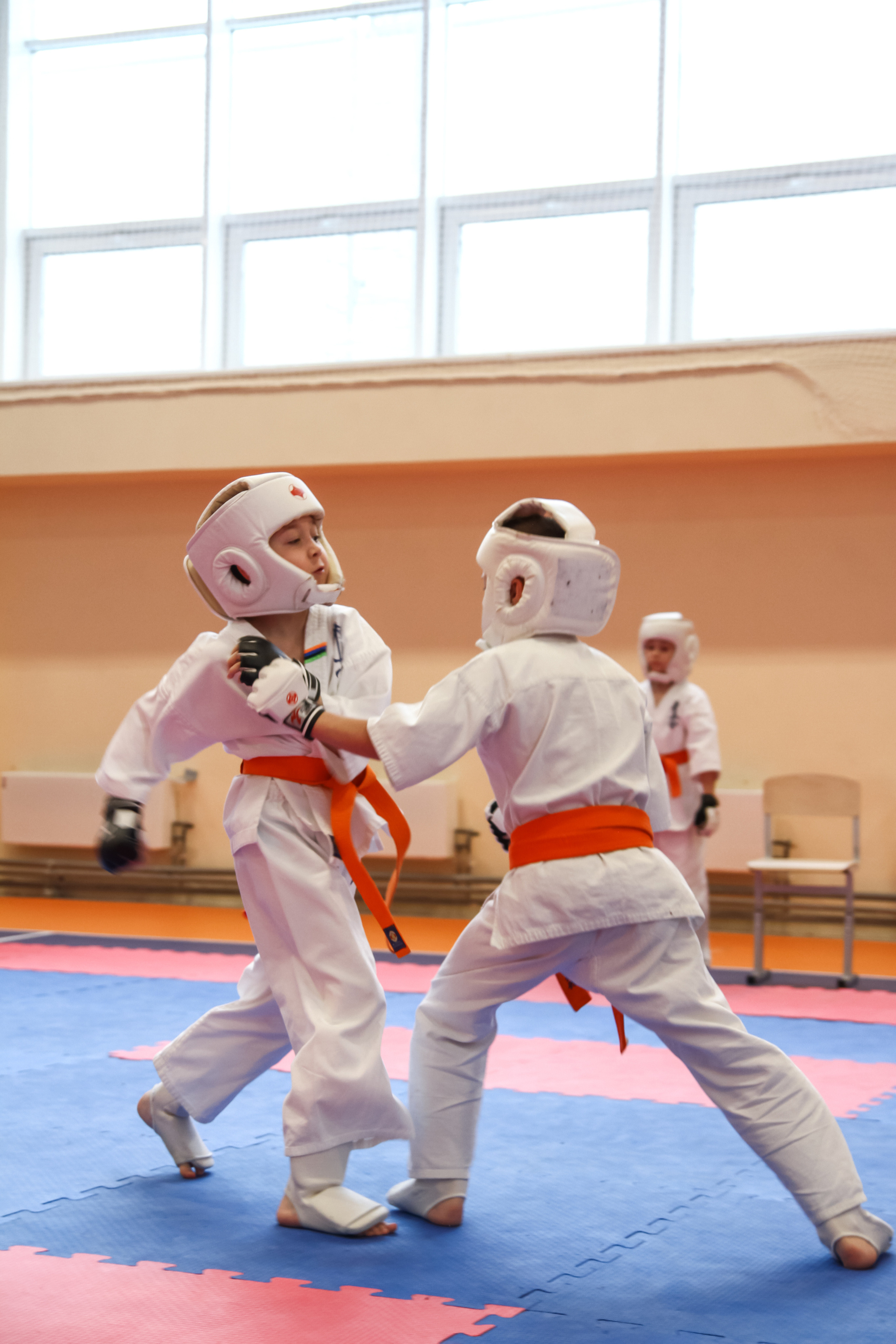 Соревнования по киокушинкай. Фотограф в Москве Анастасия Курлович