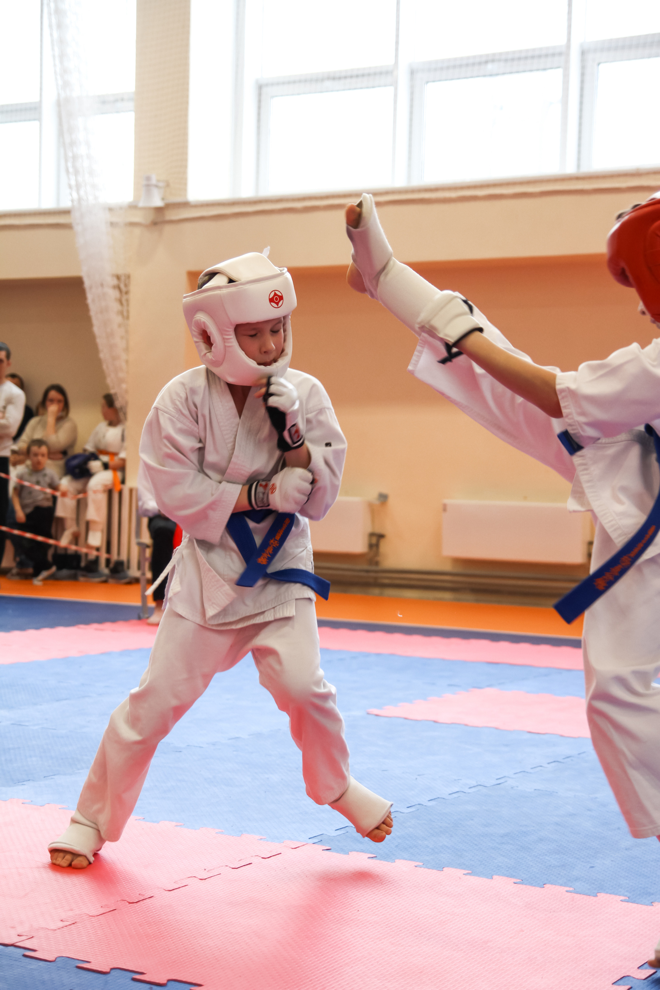 Соревнования по киокушинкай. Фотограф в Москве Анастасия Курлович