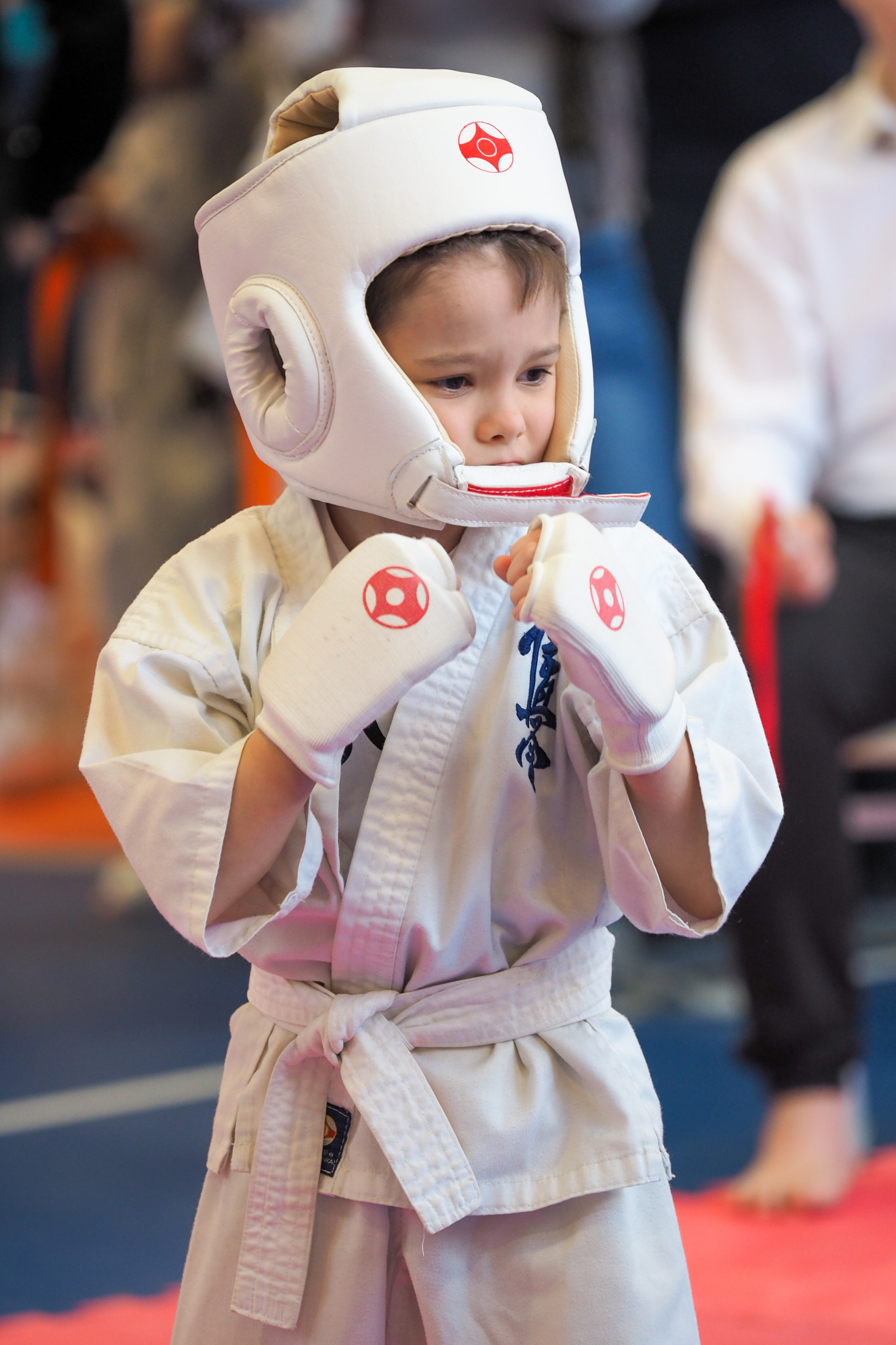 Соревнования по киокушинкай. Фотограф в Москве Анастасия Курлович