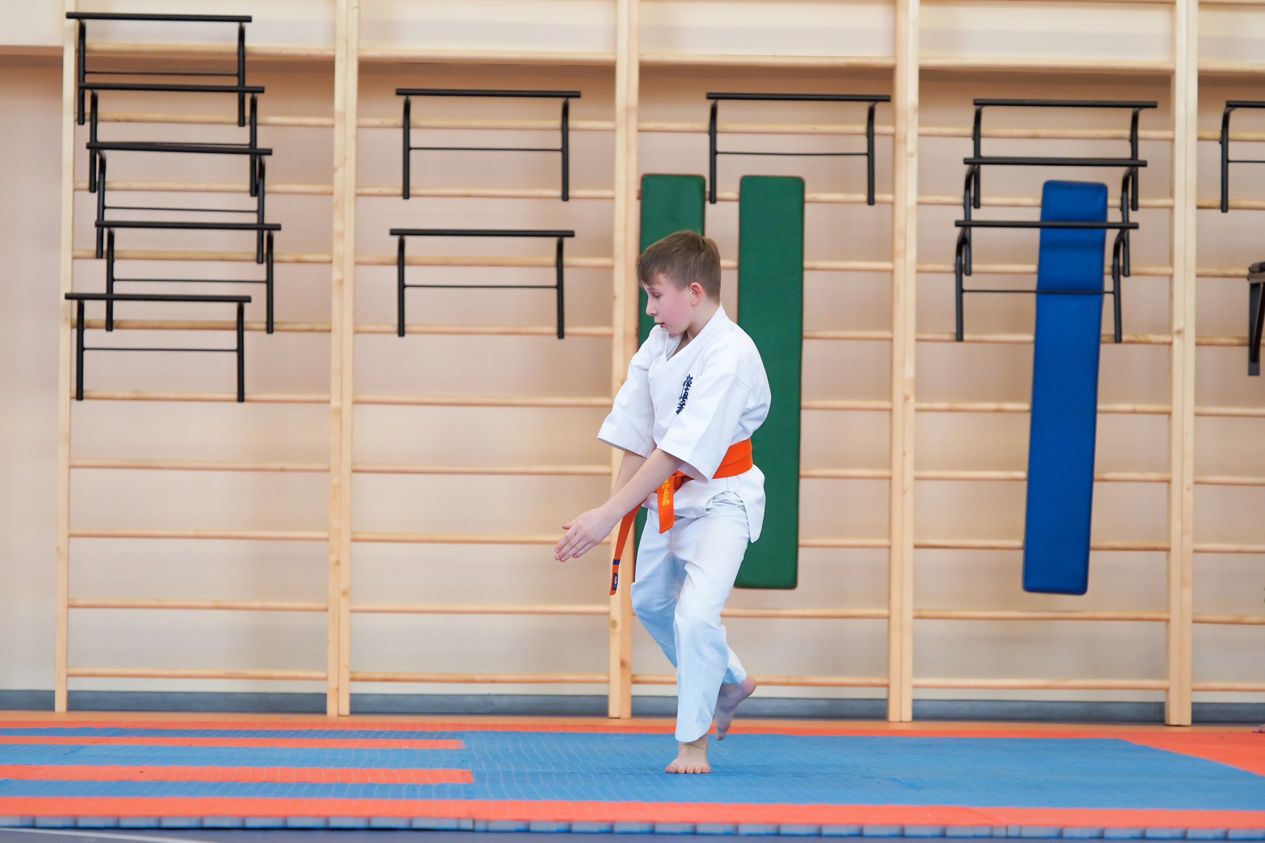 Соревнования по киокушинкай. Фотограф в Москве Анастасия Курлович