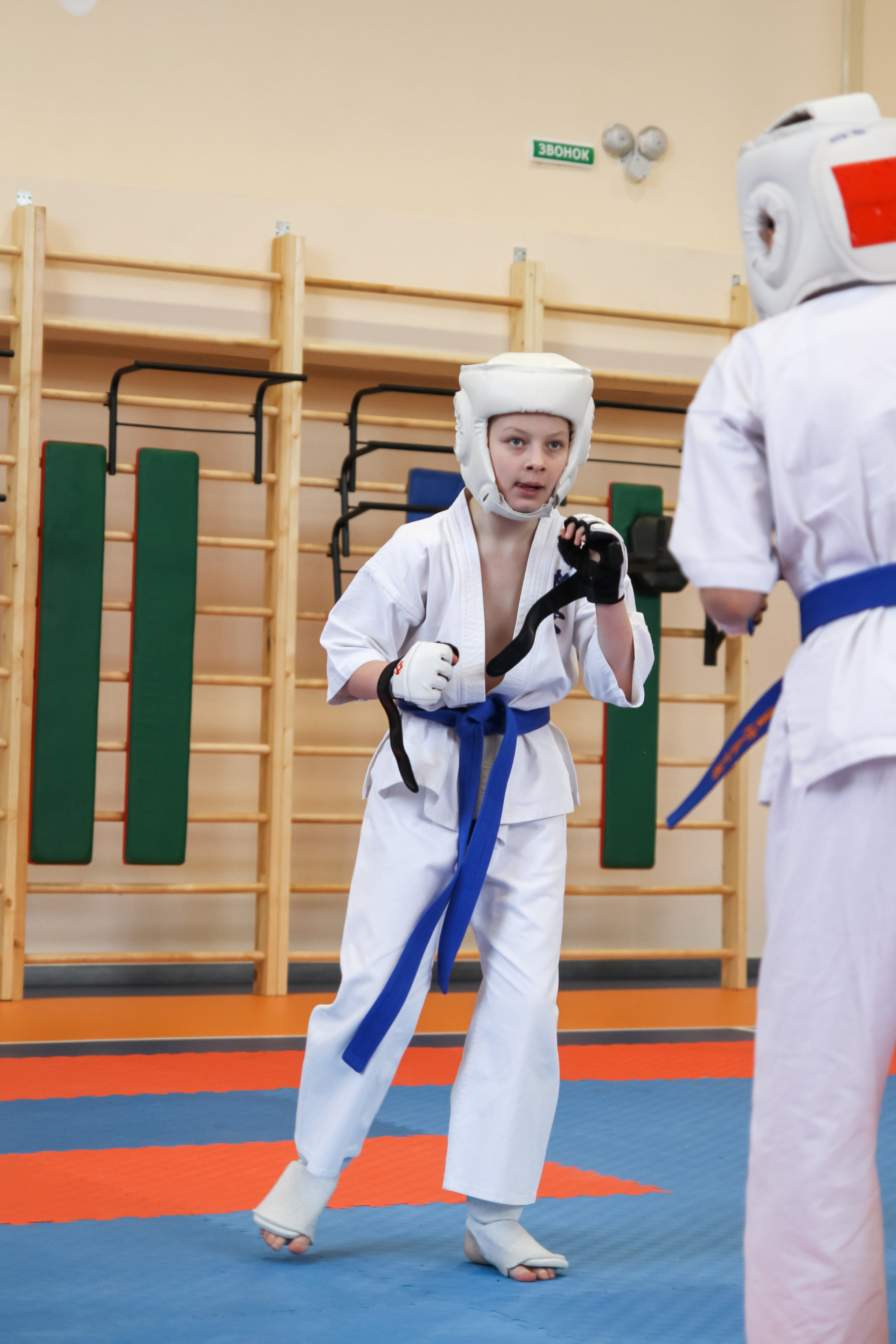 Соревнования по киокушинкай. Фотограф в Москве Анастасия Курлович