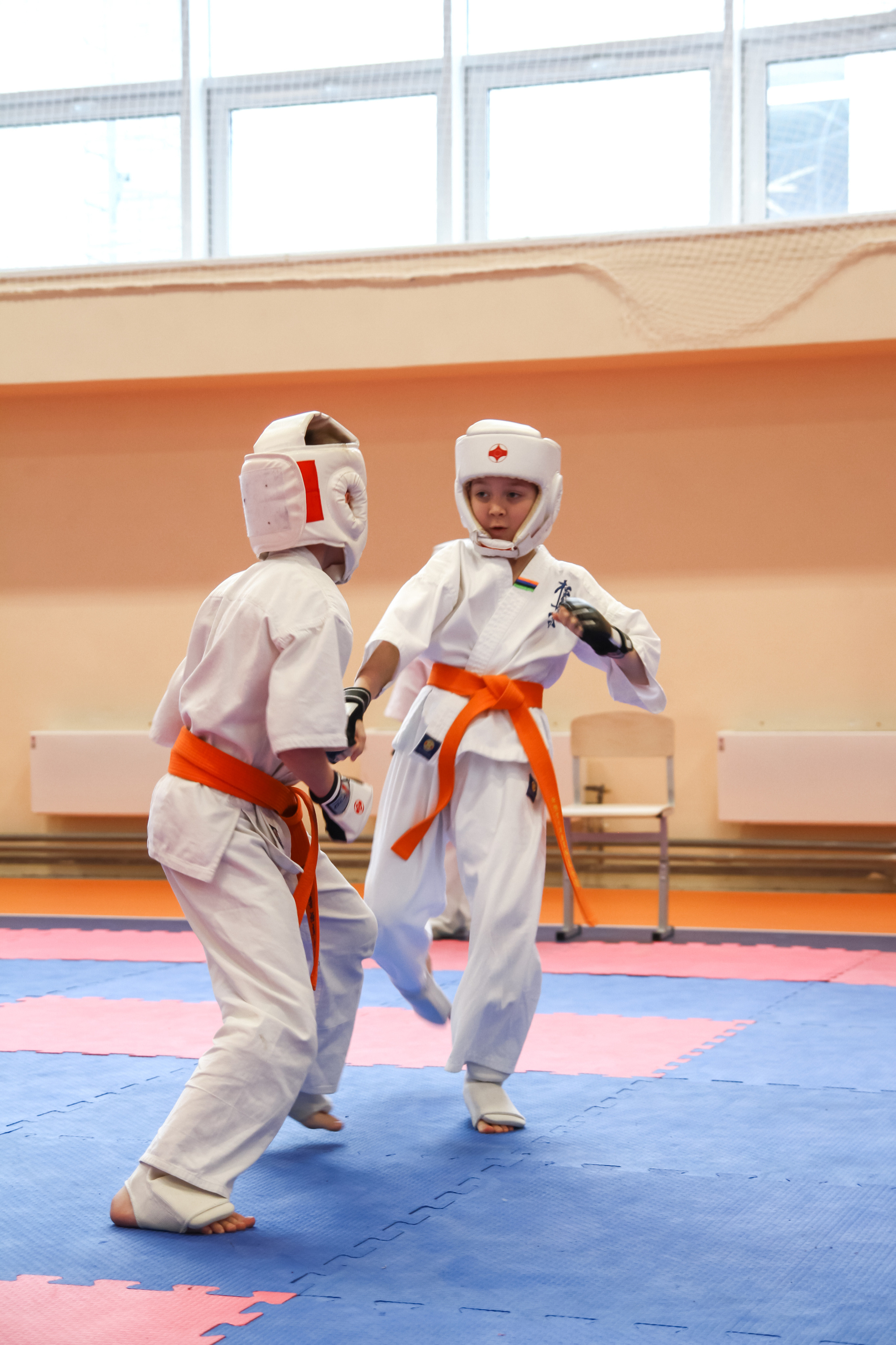 Соревнования по киокушинкай. Фотограф в Москве Анастасия Курлович