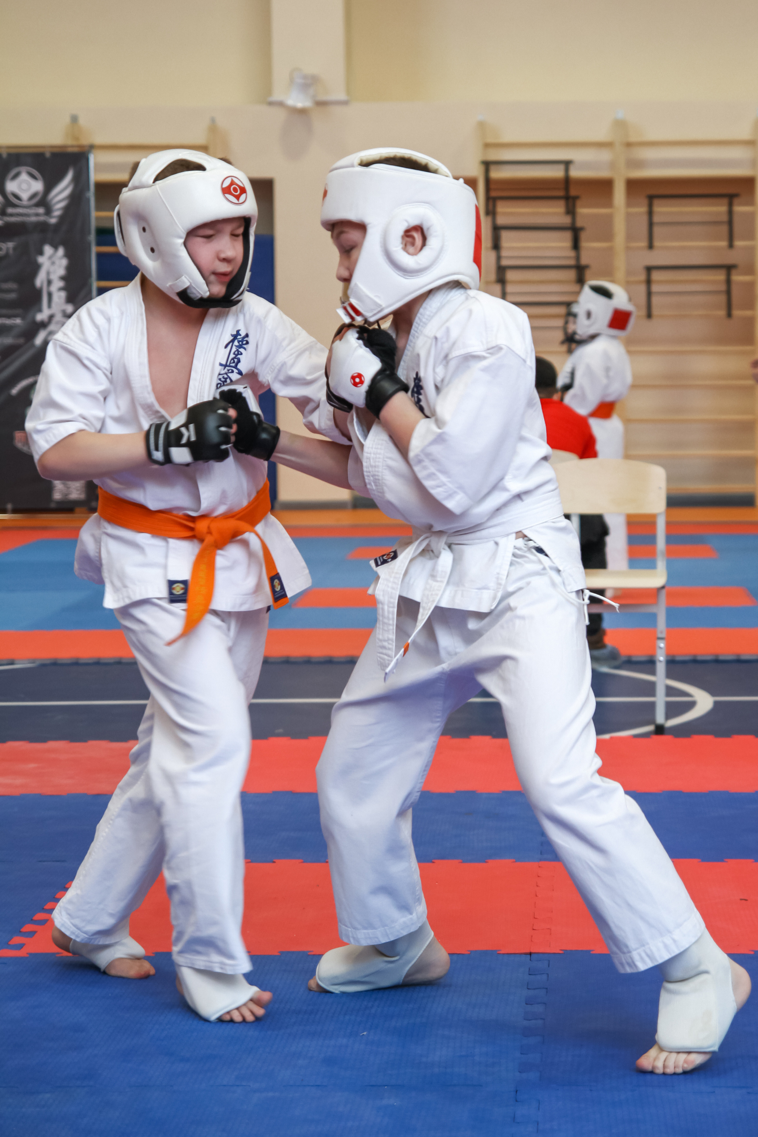 Соревнования по киокушинкай. Фотограф в Москве Анастасия Курлович