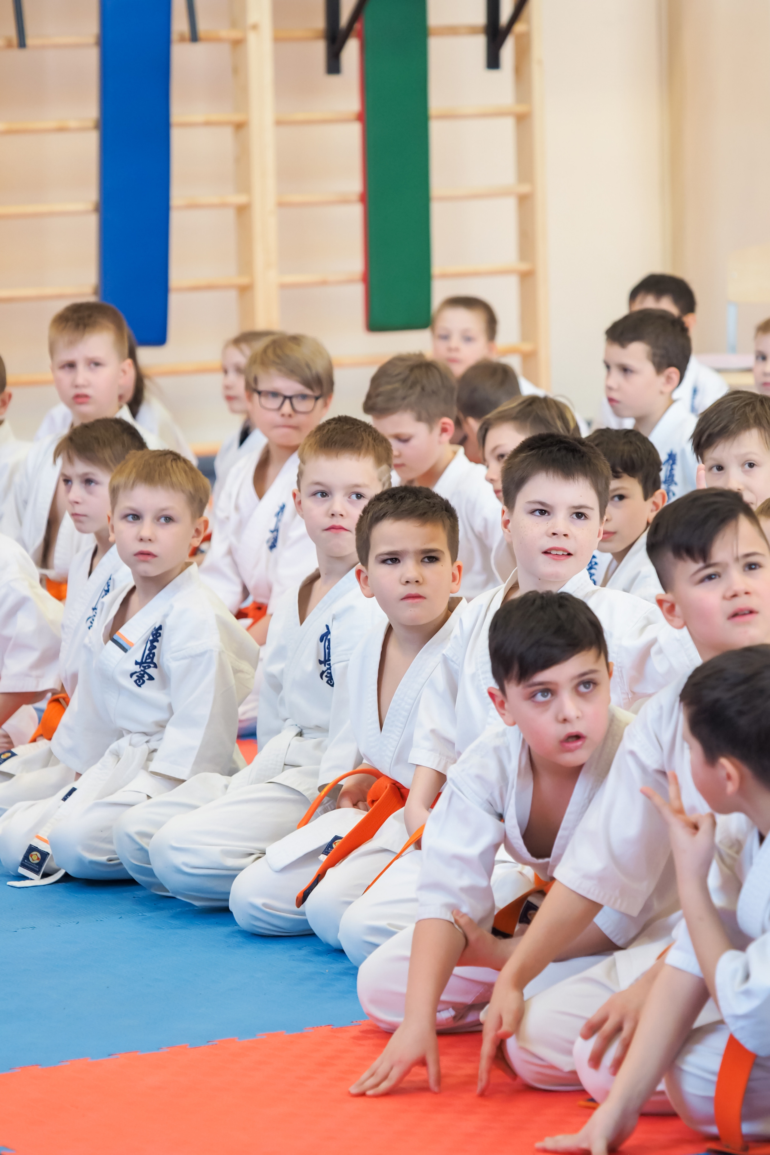 Соревнования по киокушинкай. Фотограф в Москве Анастасия Курлович