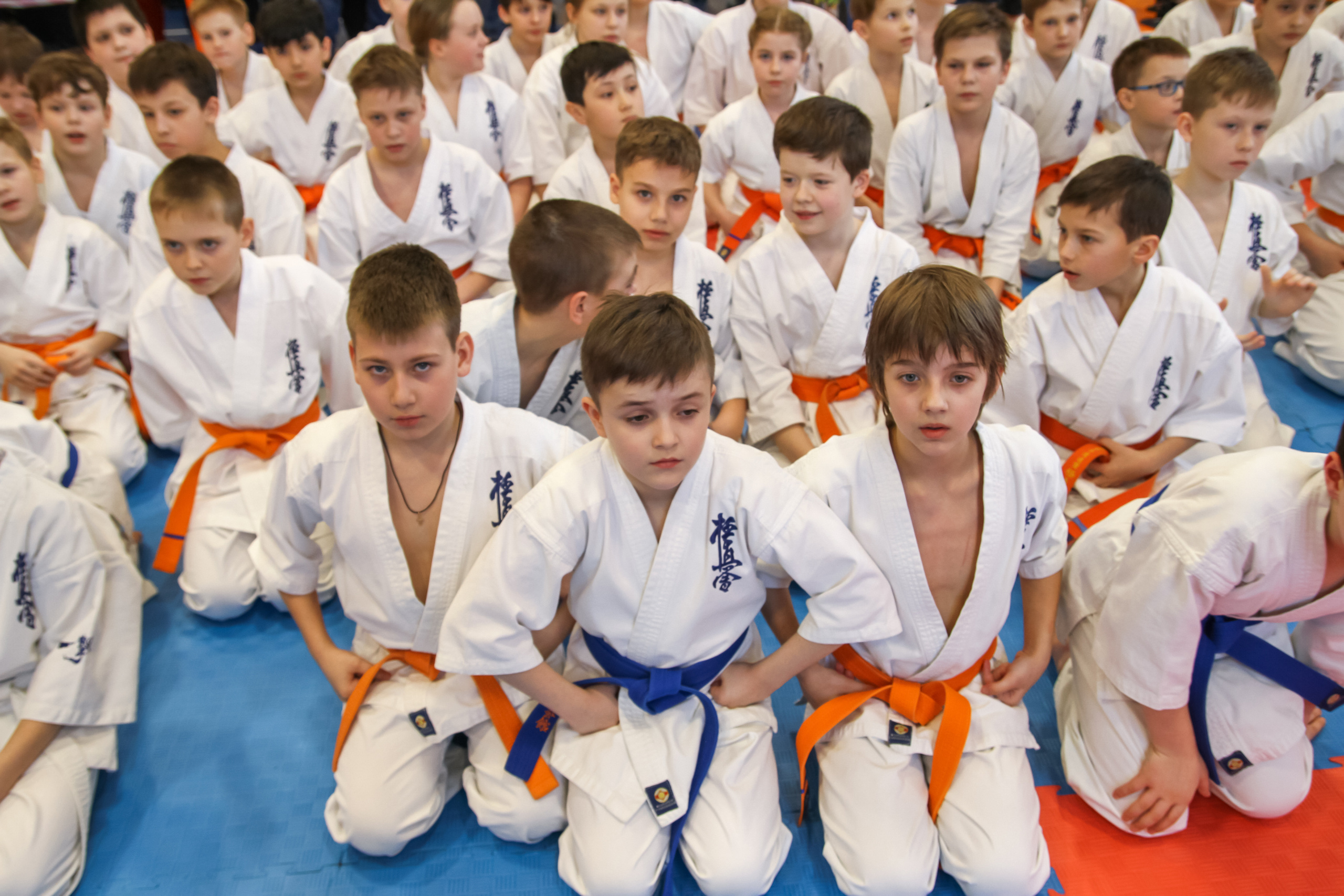 Соревнования по киокушинкай. Фотограф в Москве Анастасия Курлович