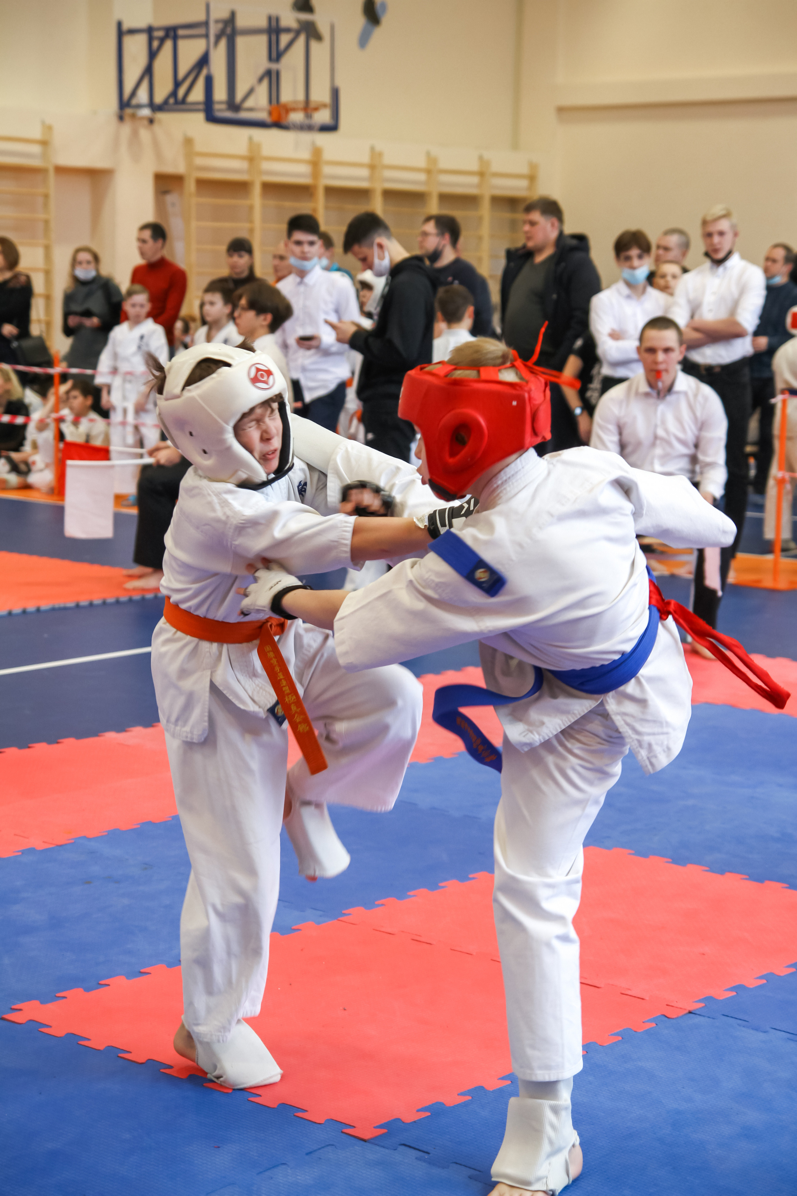 Соревнования по киокушинкай. Фотограф в Москве Анастасия Курлович