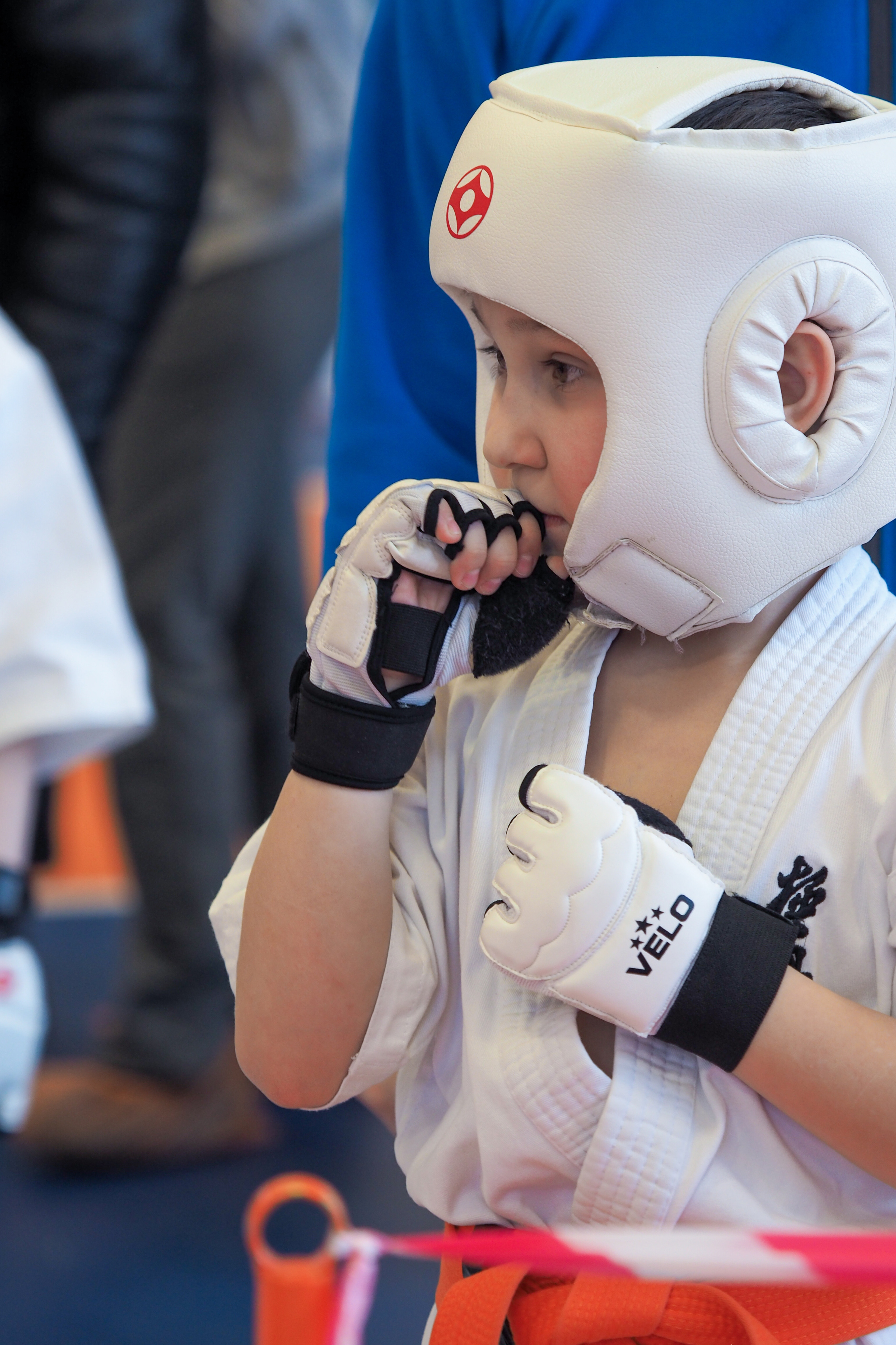Соревнования по киокушинкай. Фотограф в Москве Анастасия Курлович