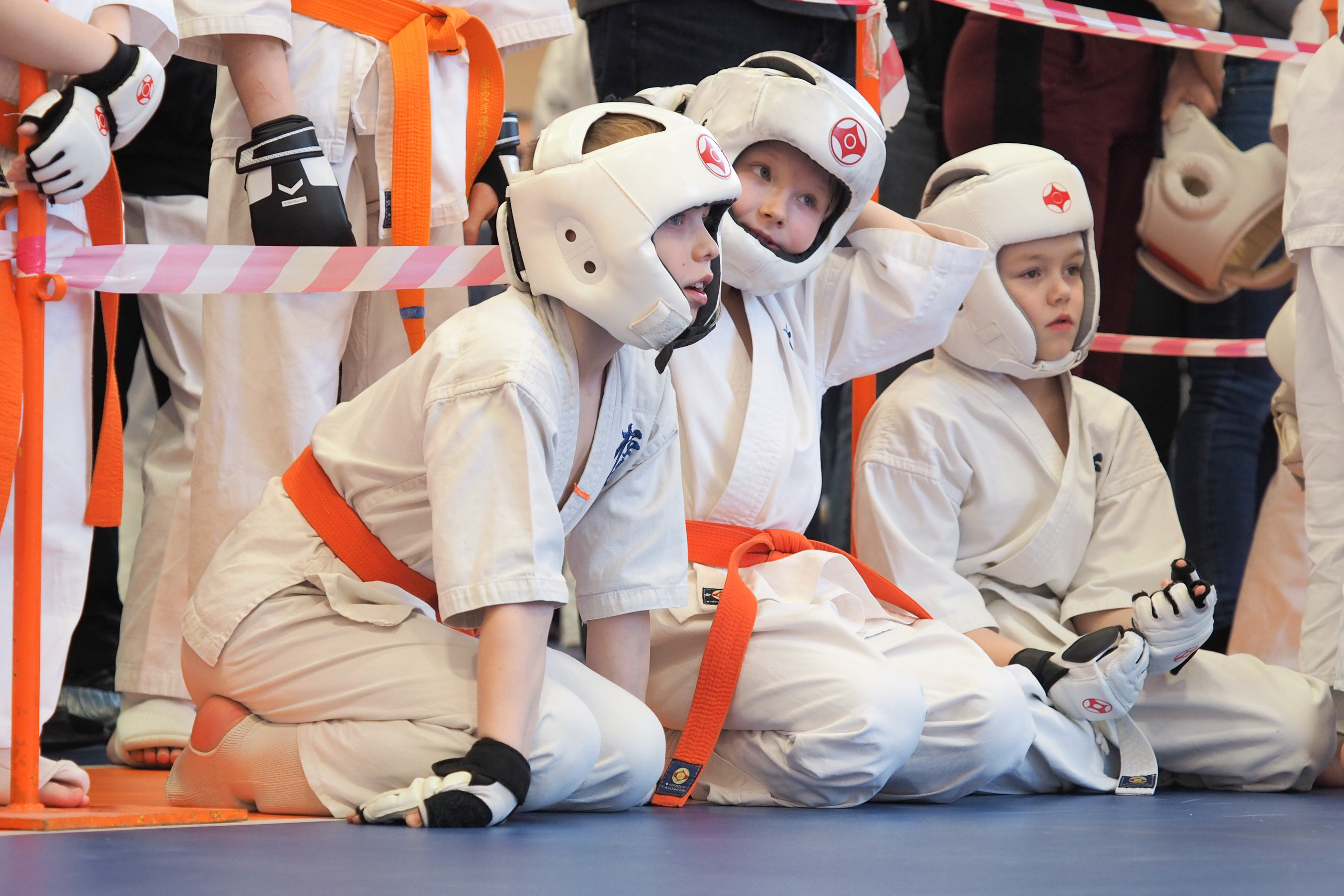 Соревнования по киокушинкай. Фотограф в Москве Анастасия Курлович