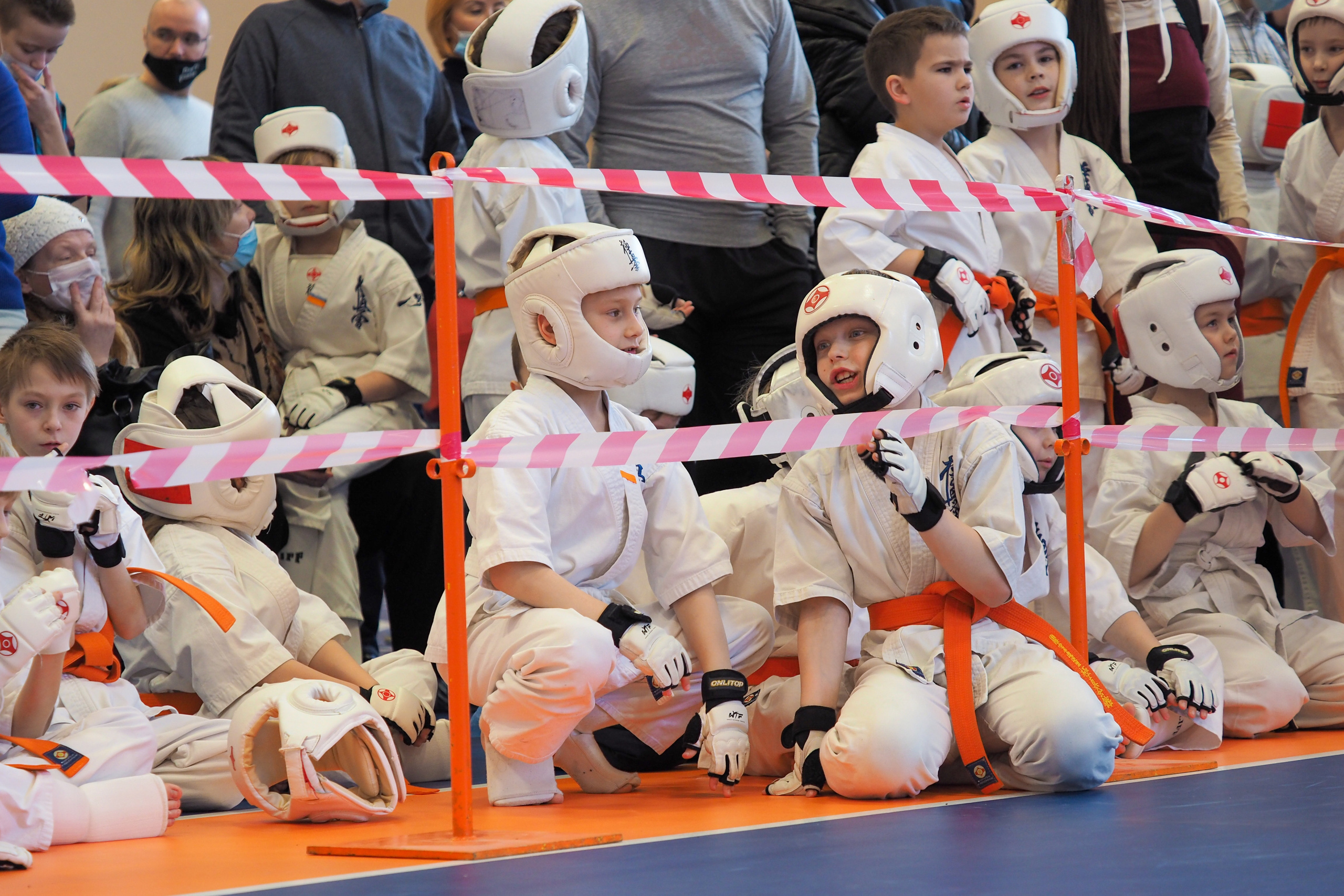 Соревнования по киокушинкай. Фотограф в Москве Анастасия Курлович