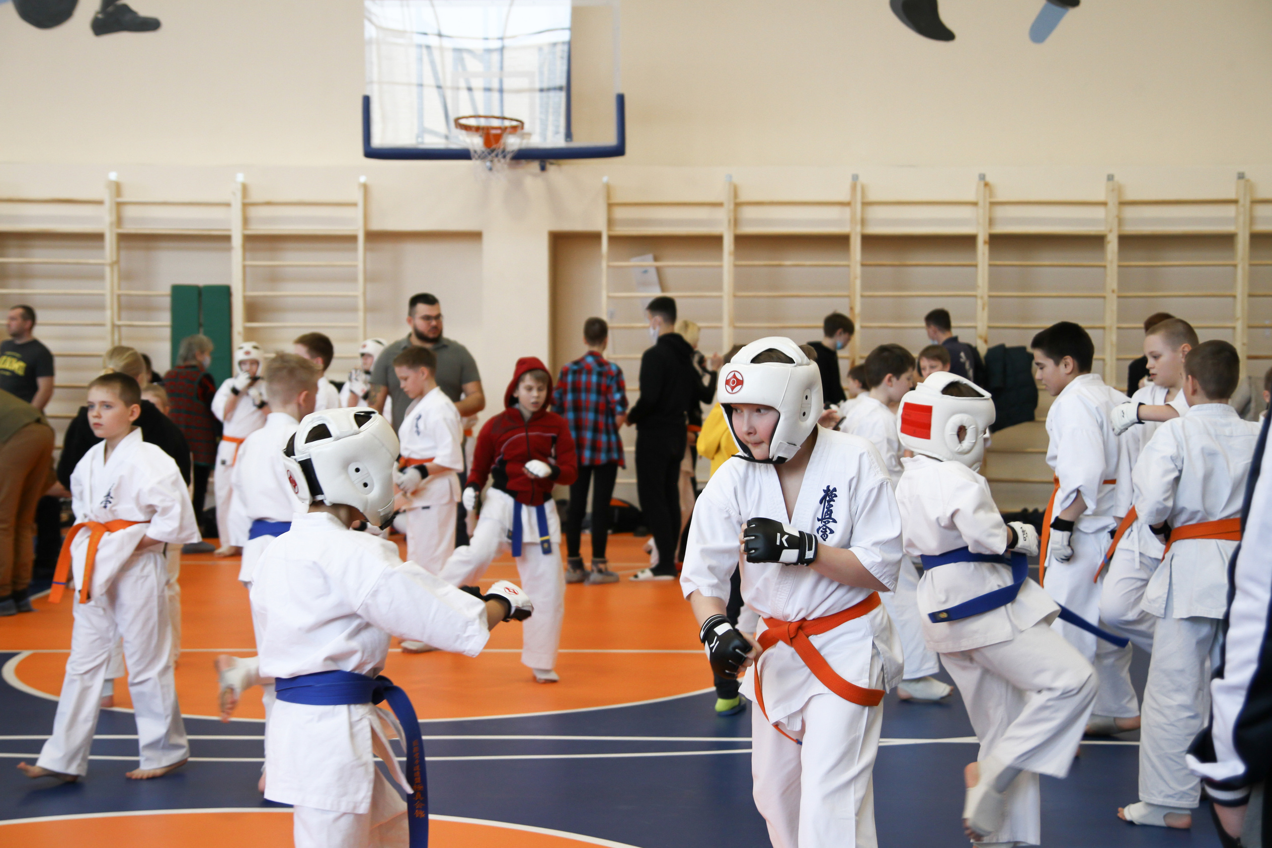 Соревнования по киокушинкай. Фотограф в Москве Анастасия Курлович