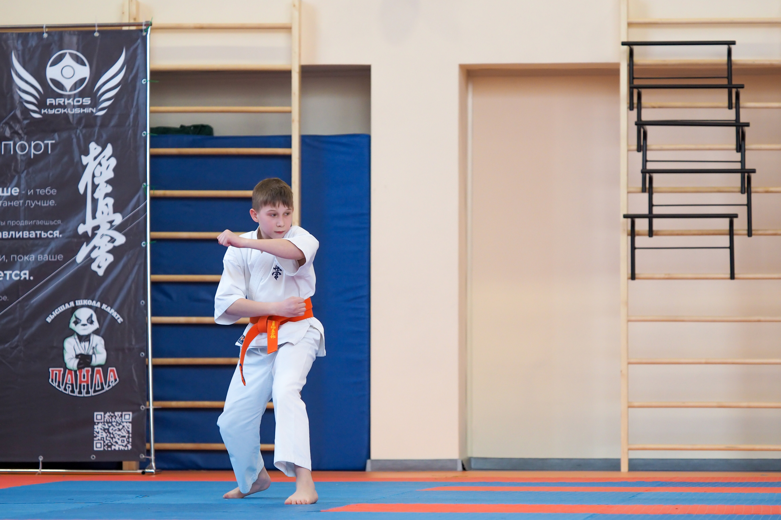 Соревнования по киокушинкай. Фотограф в Москве Анастасия Курлович