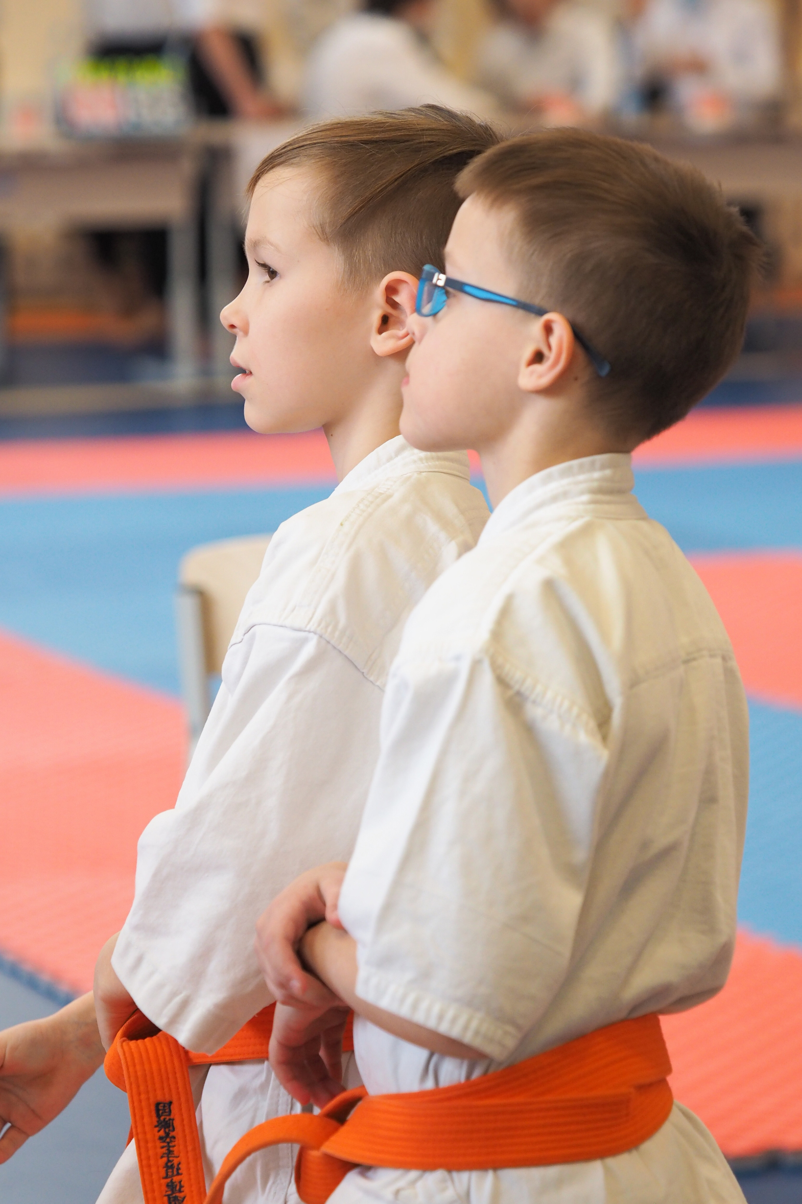 Соревнования по киокушинкай. Фотограф в Москве Анастасия Курлович