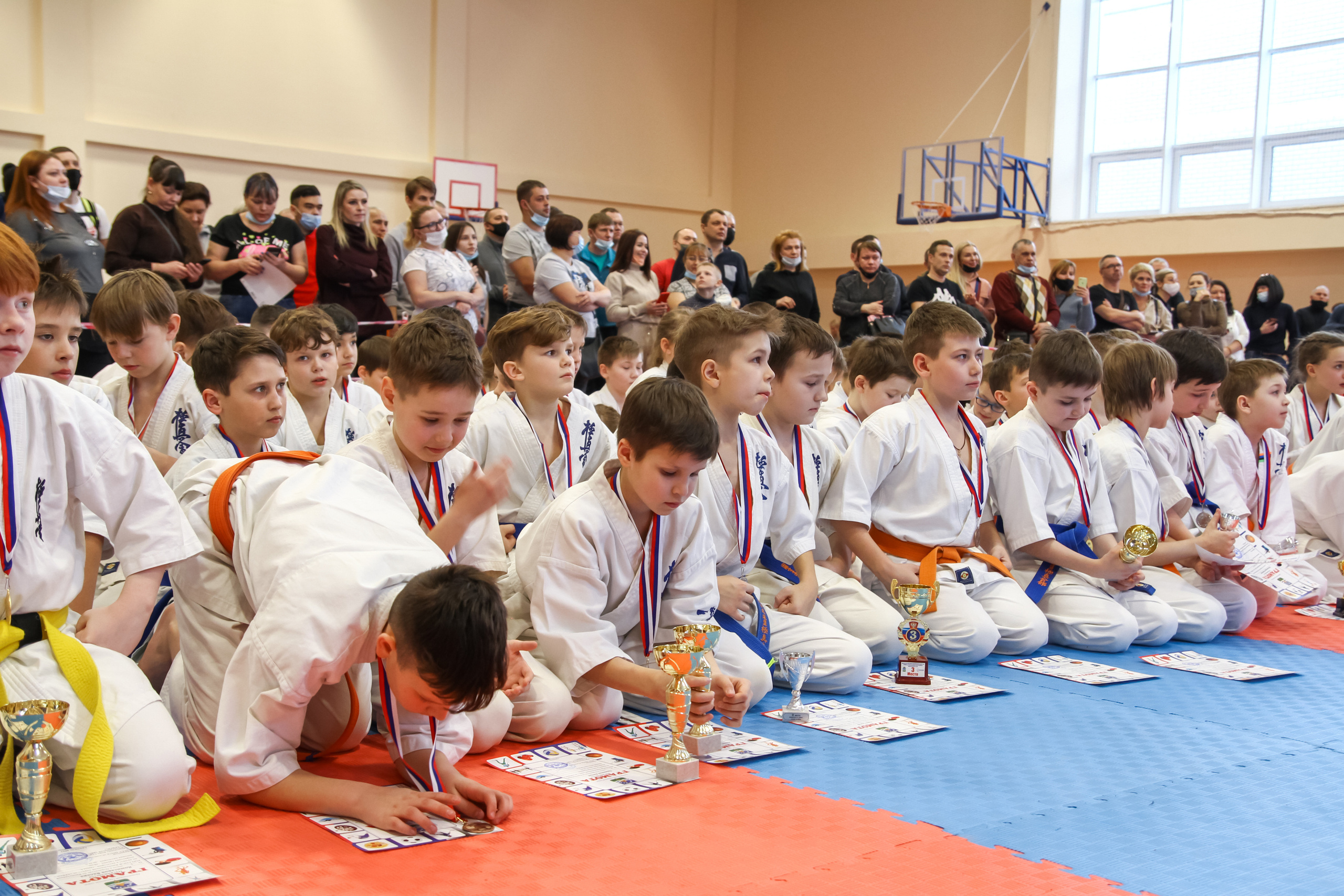 Соревнования по киокушинкай. Фотограф в Москве Анастасия Курлович