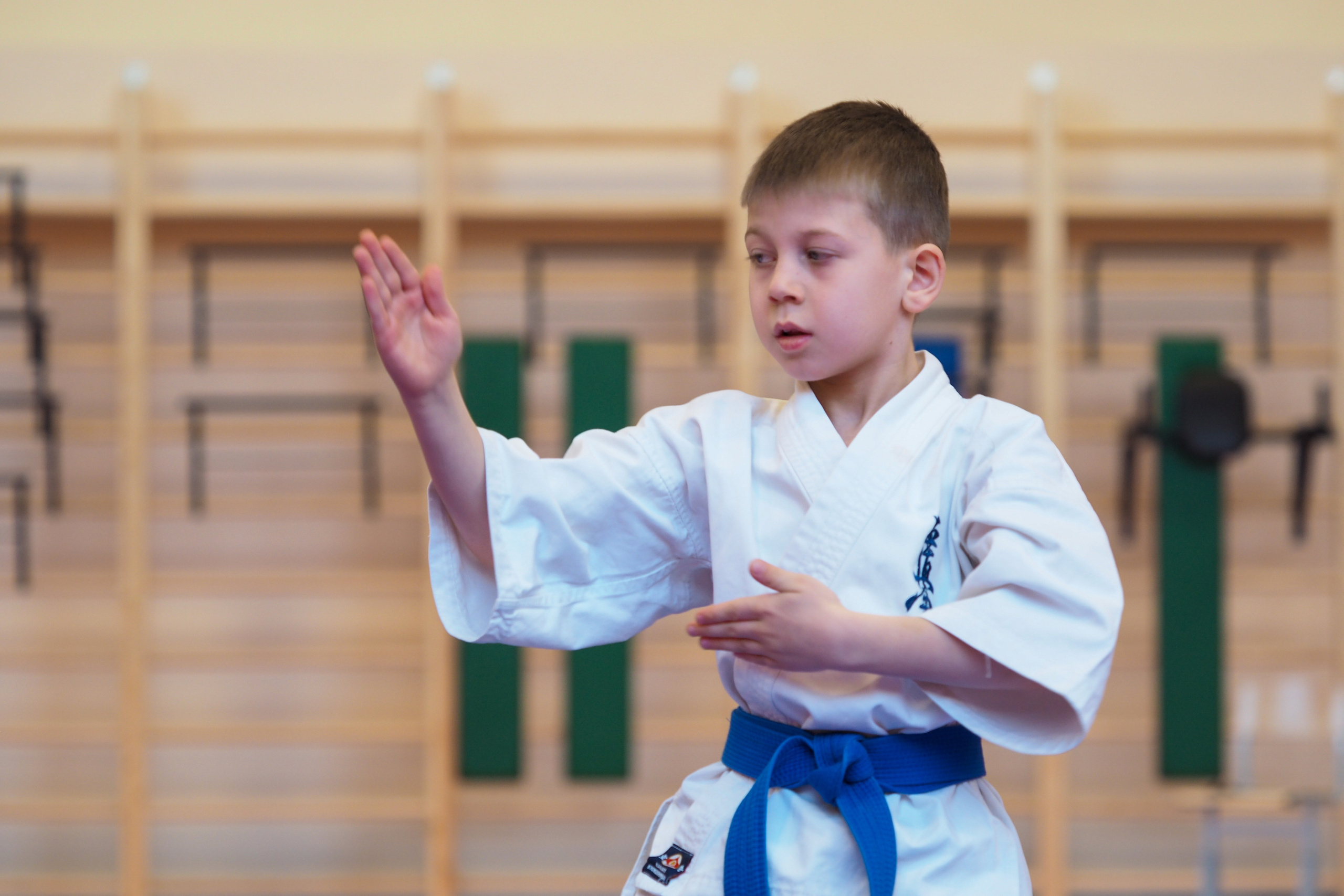 Соревнования по киокушинкай. Фотограф в Москве Анастасия Курлович