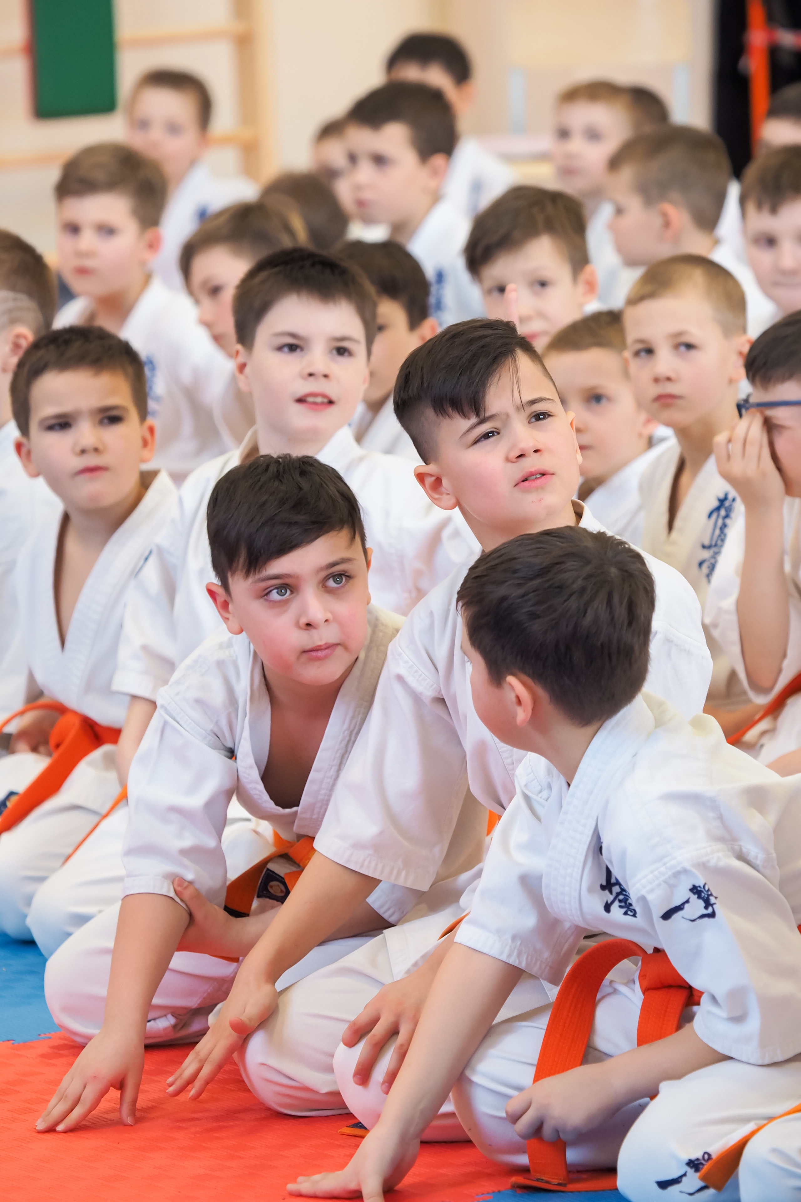 Соревнования по киокушинкай. Фотограф в Москве Анастасия Курлович