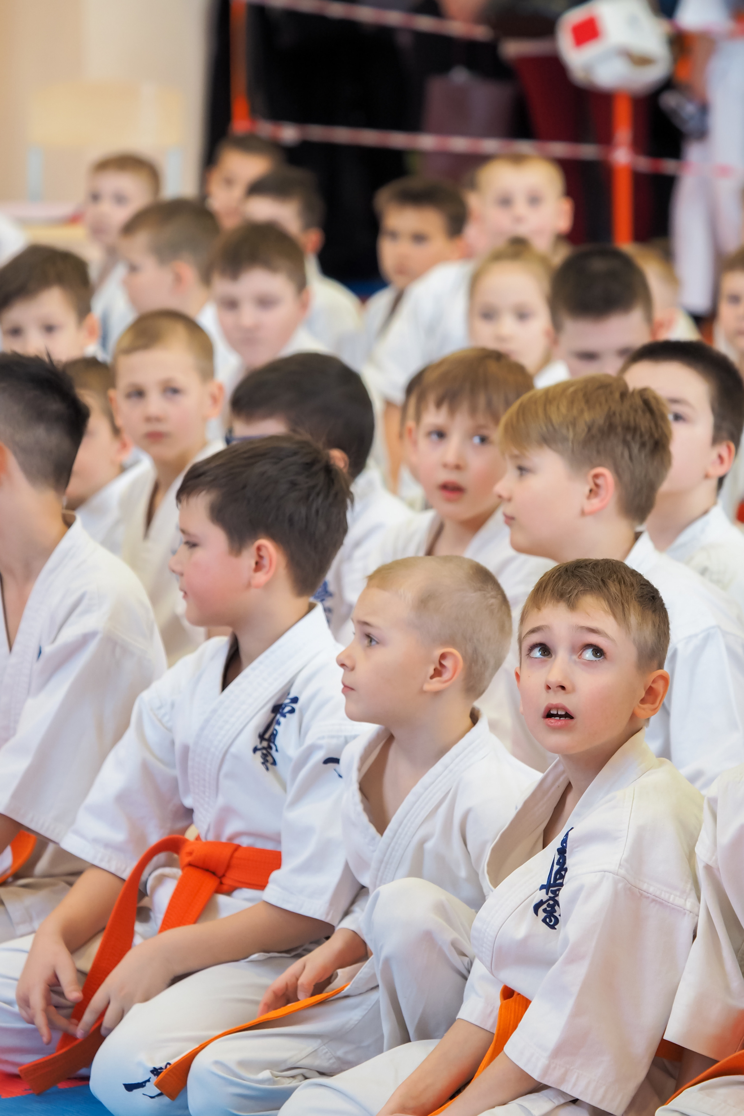 Соревнования по киокушинкай. Фотограф в Москве Анастасия Курлович