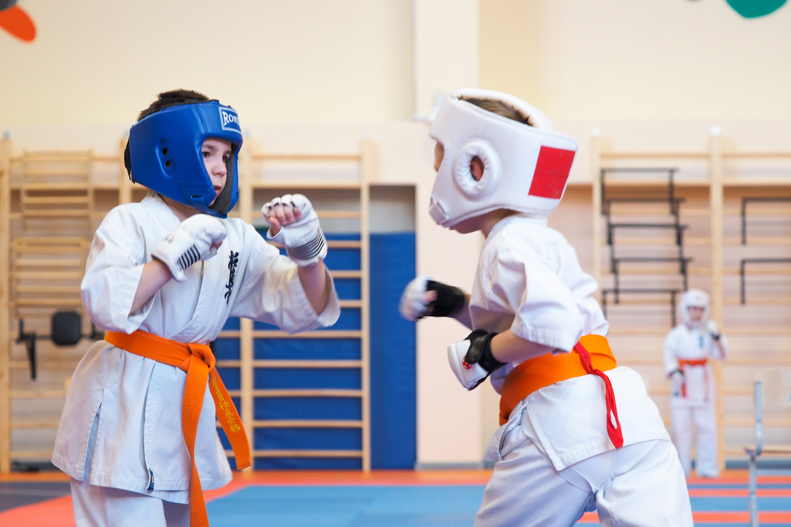Соревнования по киокушинкай. Фотограф в Москве Анастасия Курлович