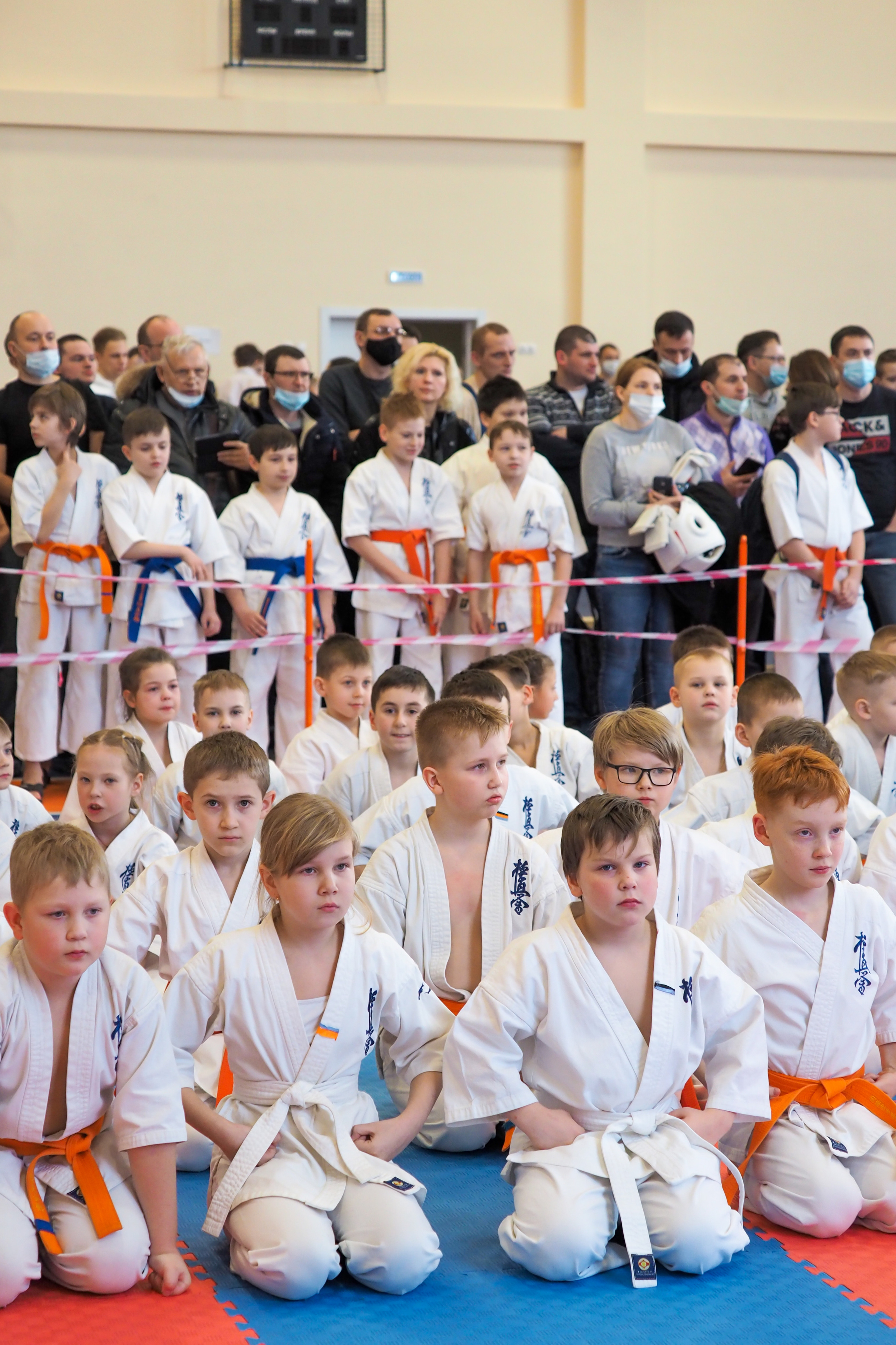 Соревнования по киокушинкай. Фотограф в Москве Анастасия Курлович