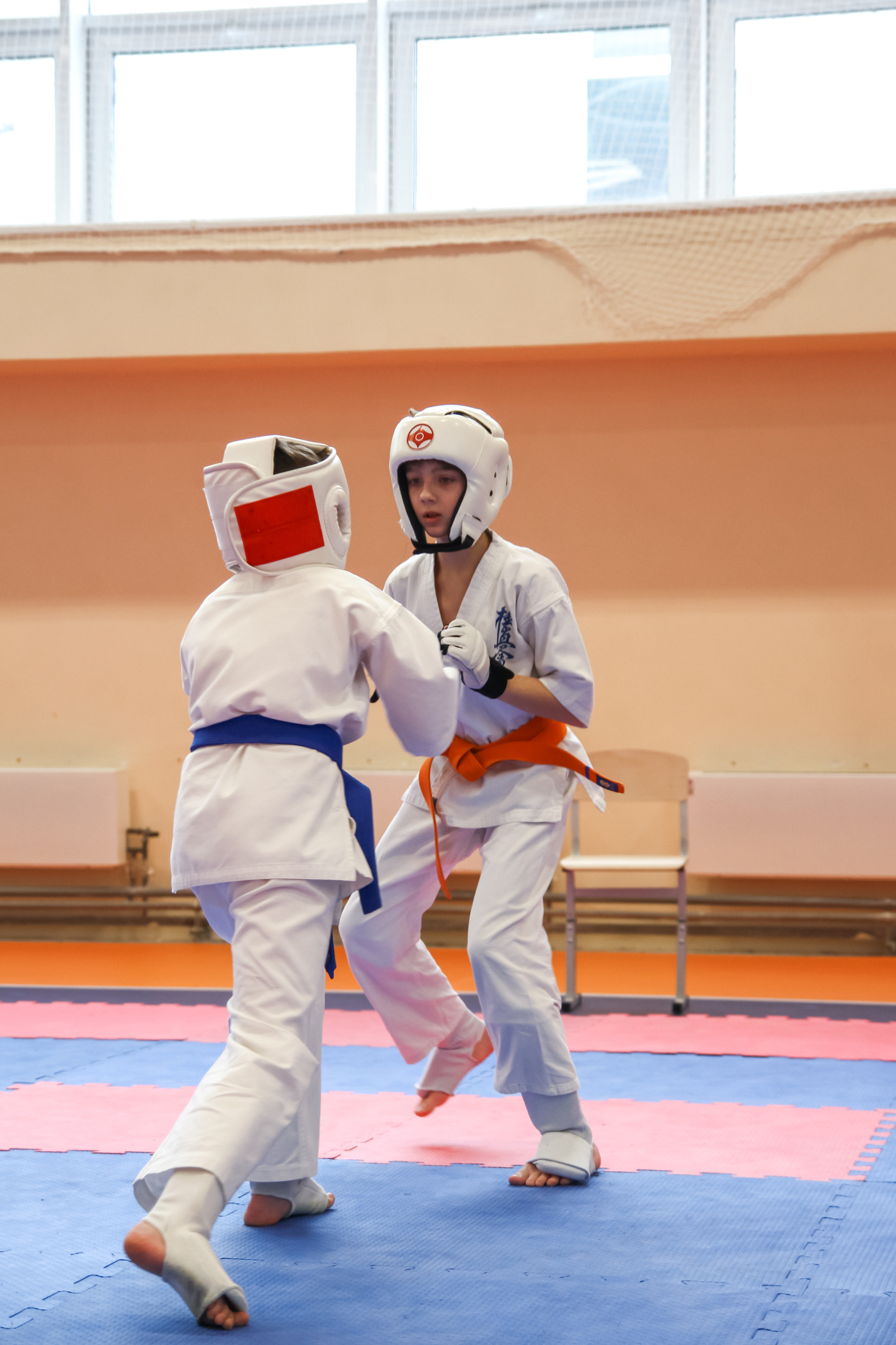 Соревнования по киокушинкай. Фотограф в Москве Анастасия Курлович