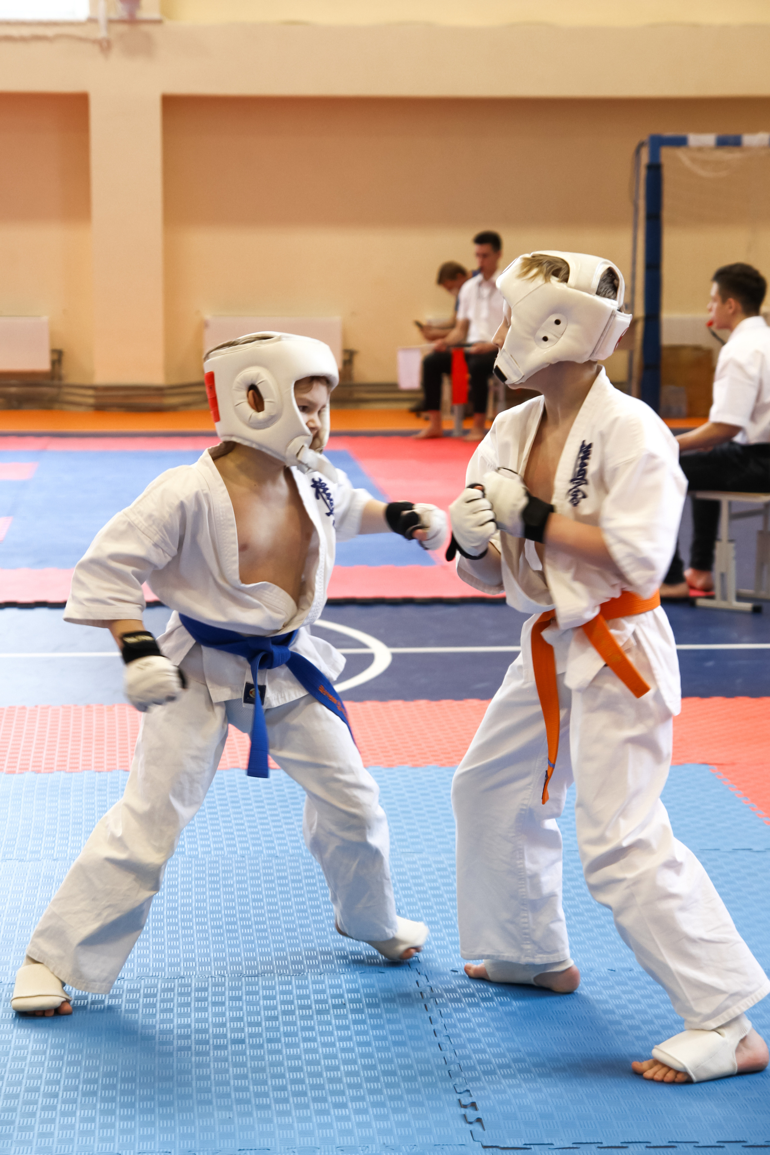 Соревнования по киокушинкай. Фотограф в Москве Анастасия Курлович