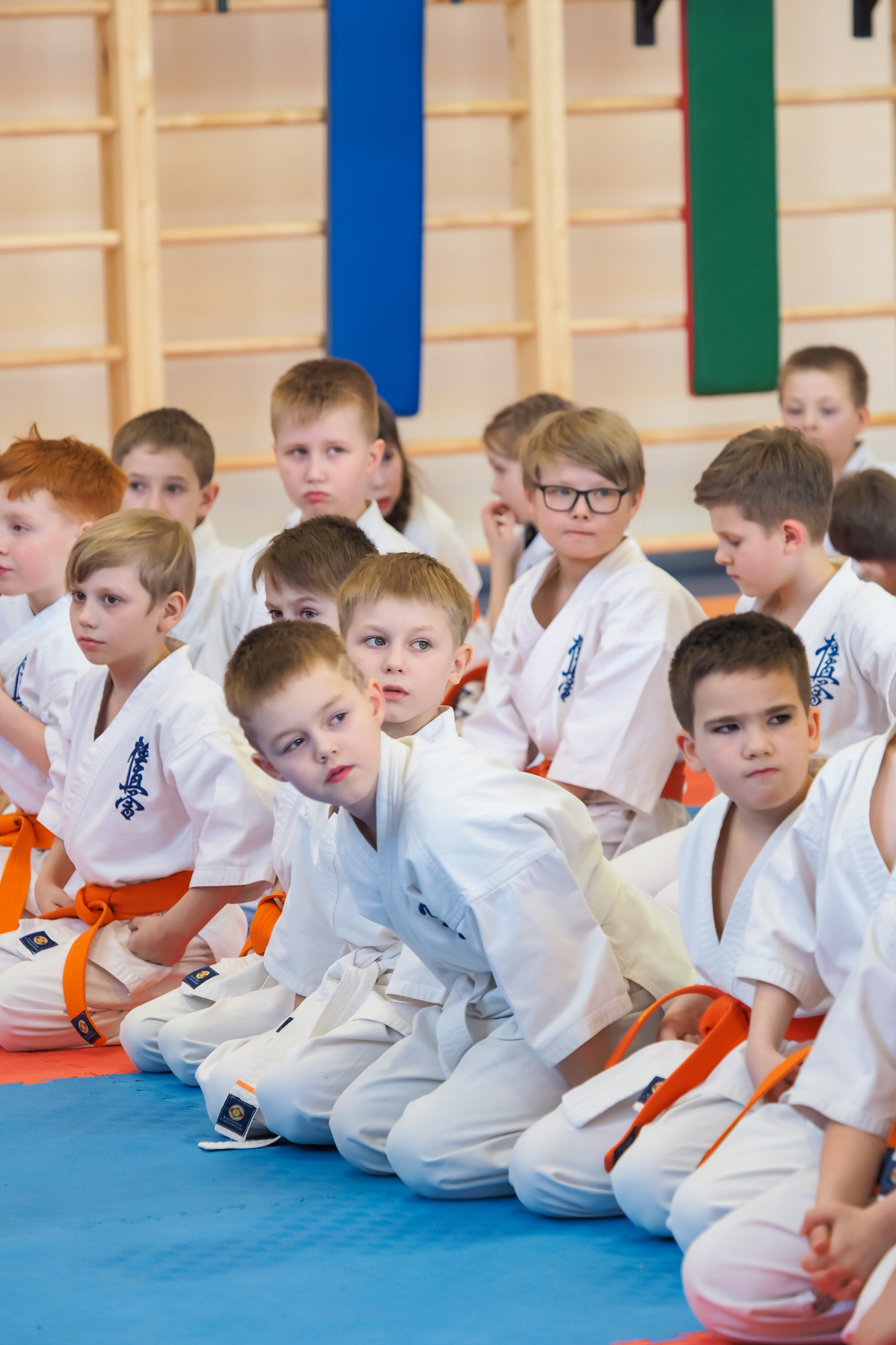 Соревнования по киокушинкай. Фотограф в Москве Анастасия Курлович