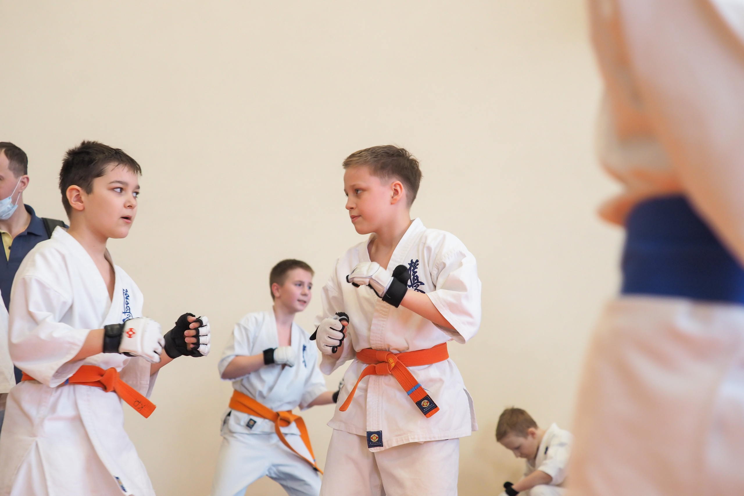 Соревнования по киокушинкай. Фотограф в Москве Анастасия Курлович