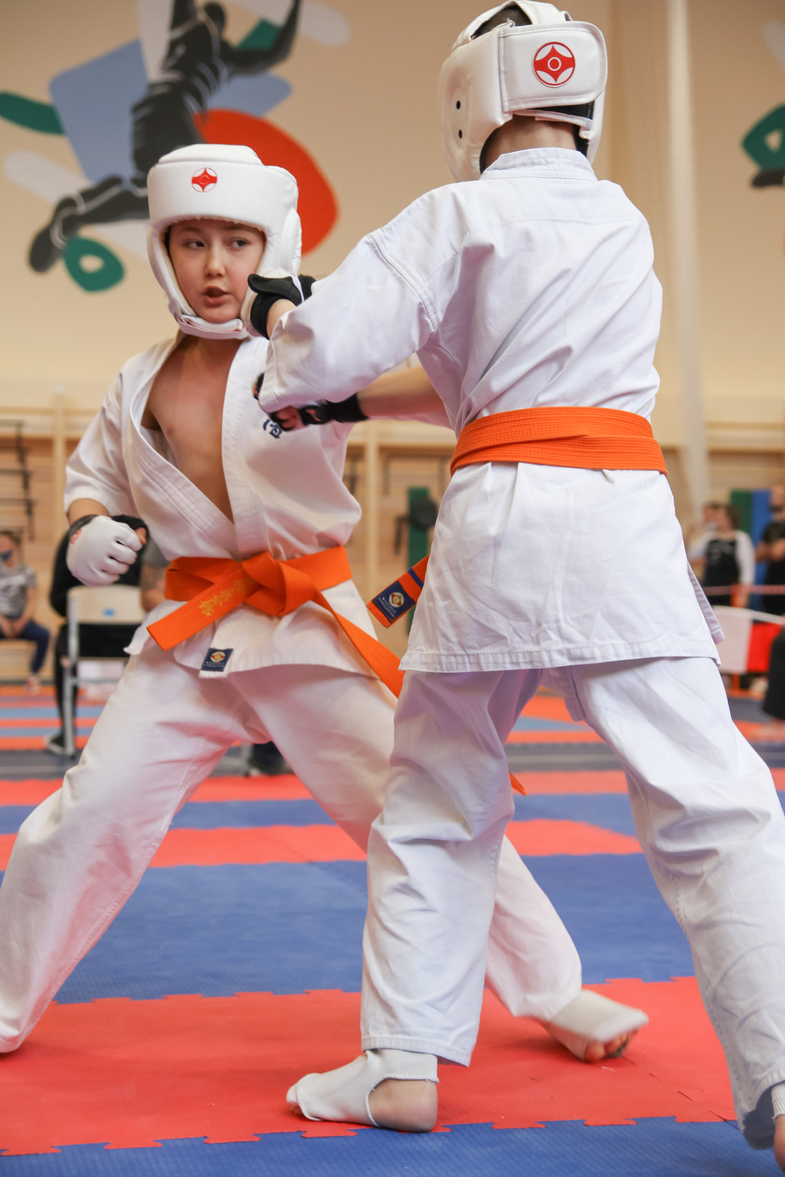 Соревнования по киокушинкай. Фотограф в Москве Анастасия Курлович