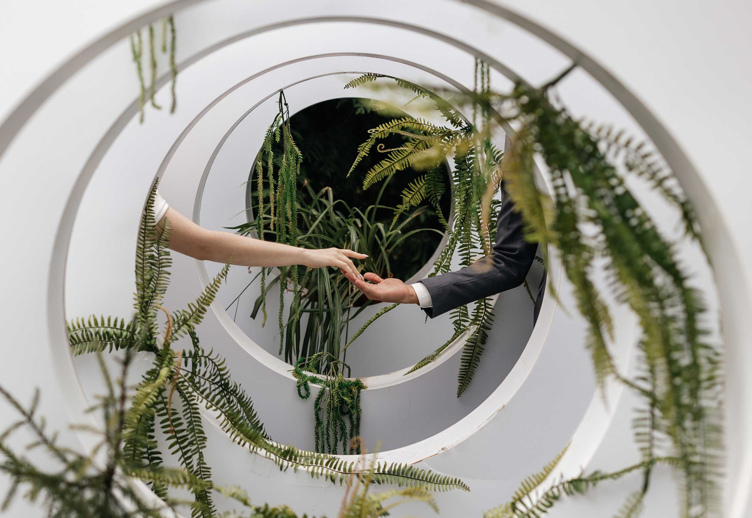 Николай & Анастасия | 10.08.24. Свадебный и семейный фотограф в Омске Евгения Хакимова