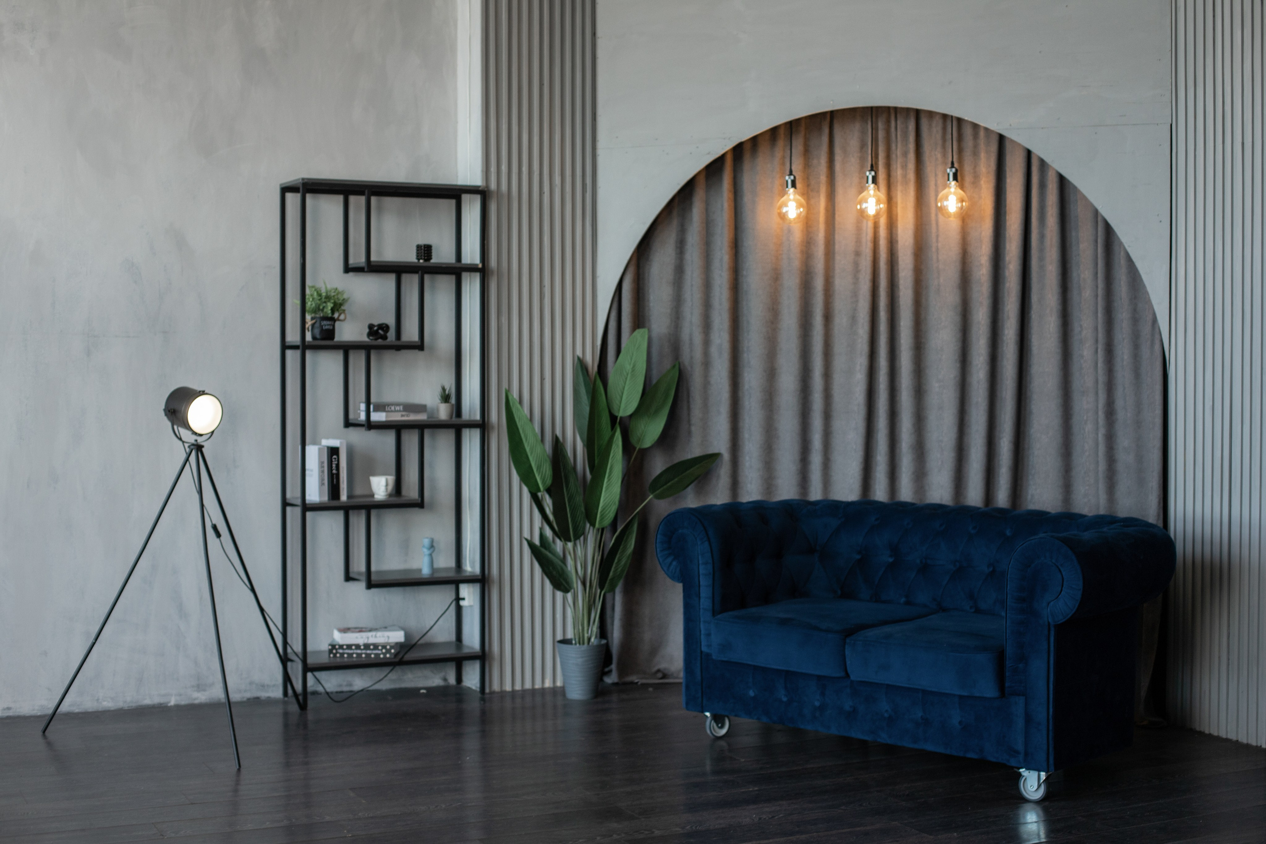 Честер (студия Зеркало). Фотограф г. Хабаровск. Семейные и индивидуальные съёмки