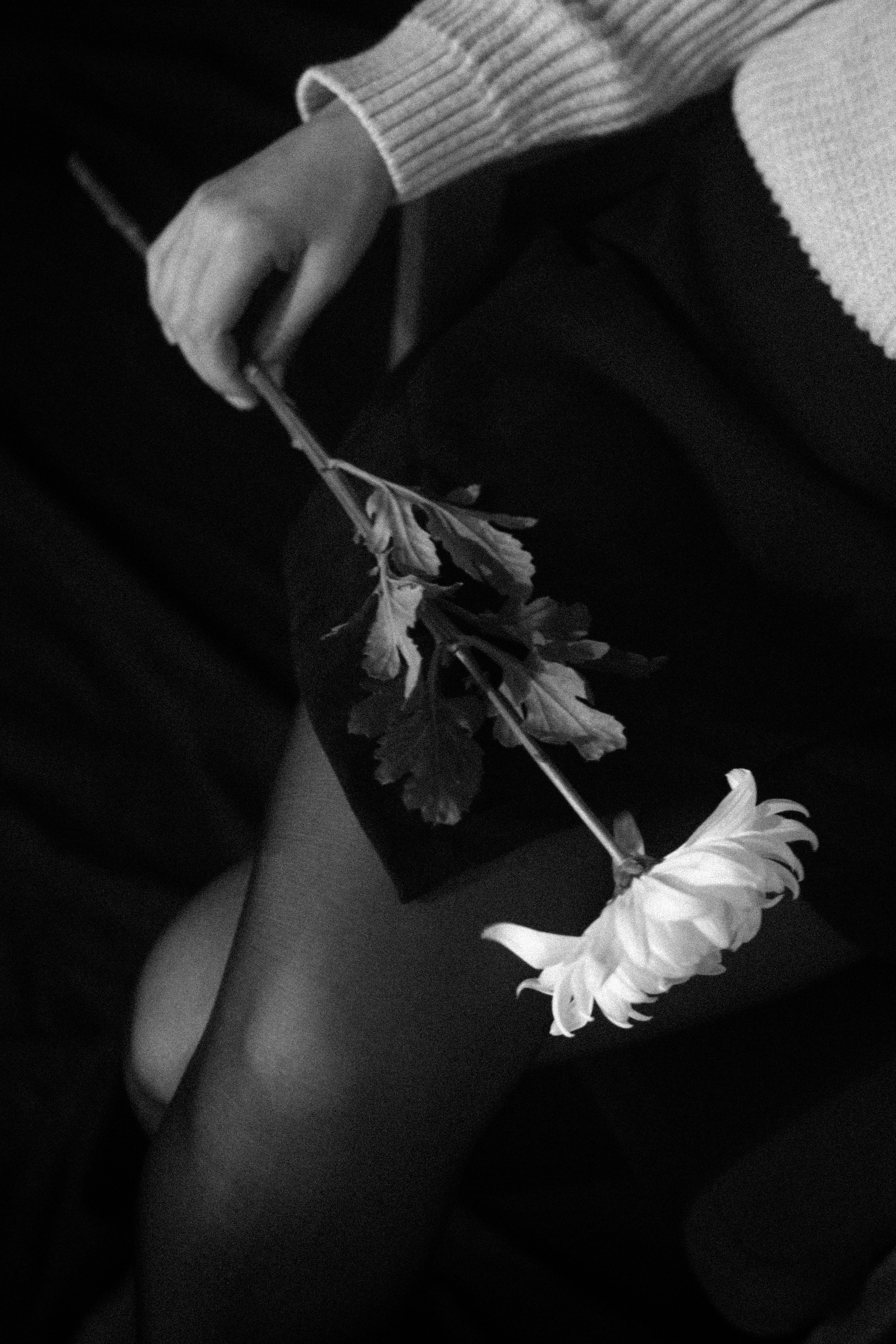 Марьяна. Семейный фотограф в Краснодаре