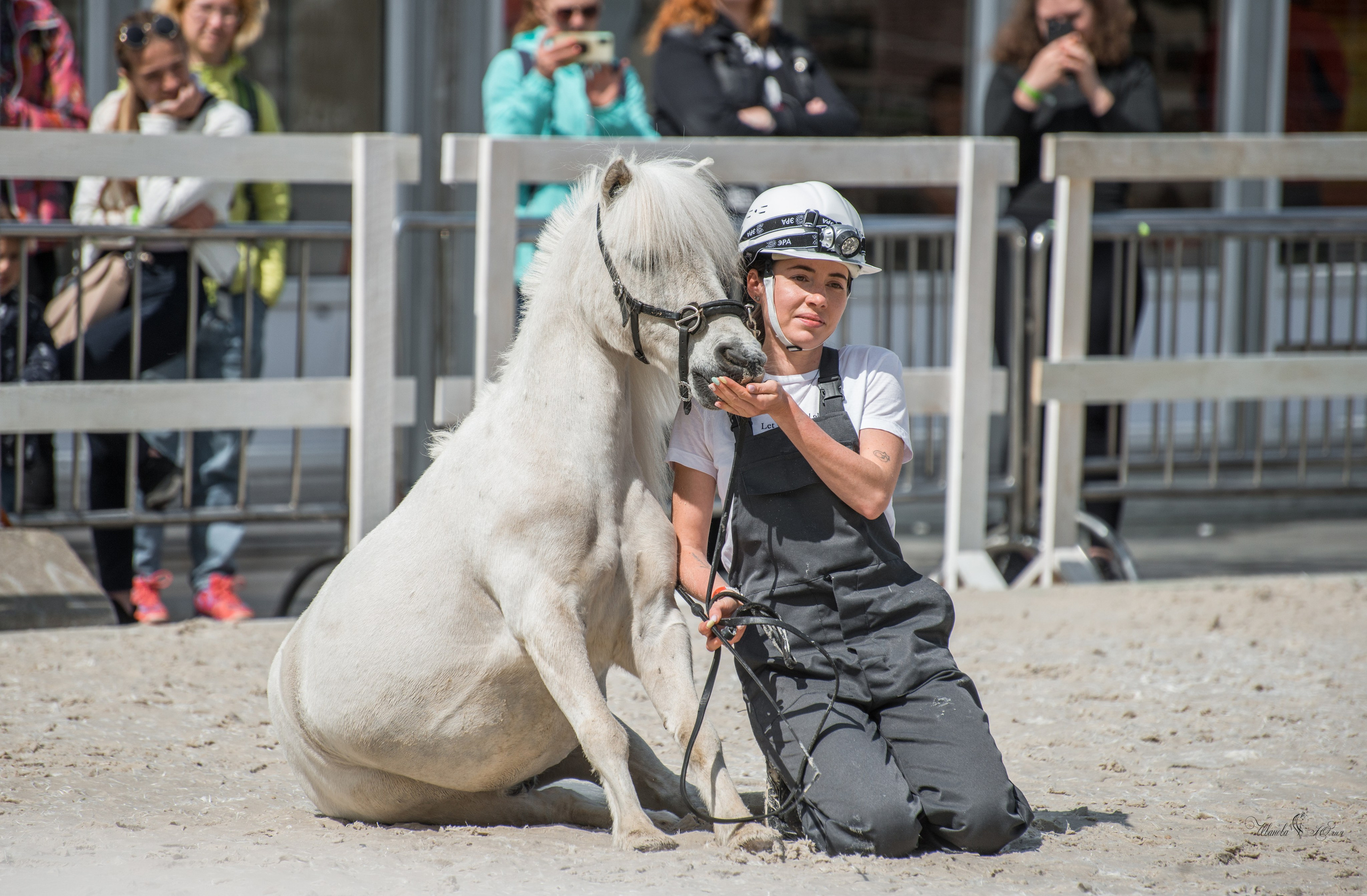 Эквирос, Москва. Конный фотограф в Саратове Юлия Иванова