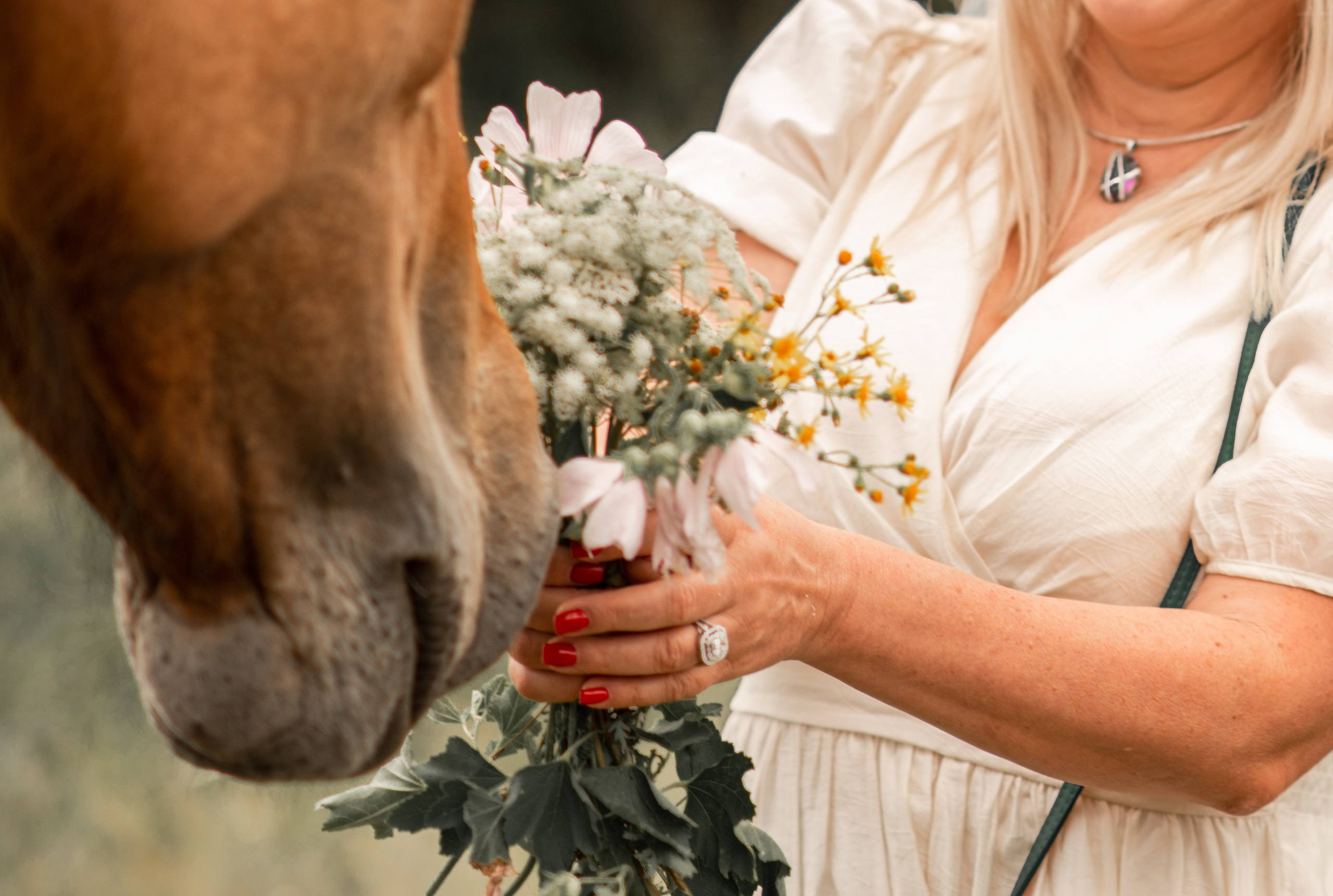 Юбилей Александра и Ирины с вятскими лошадьми. Конный фотограф в Саратове Юлия Иванова