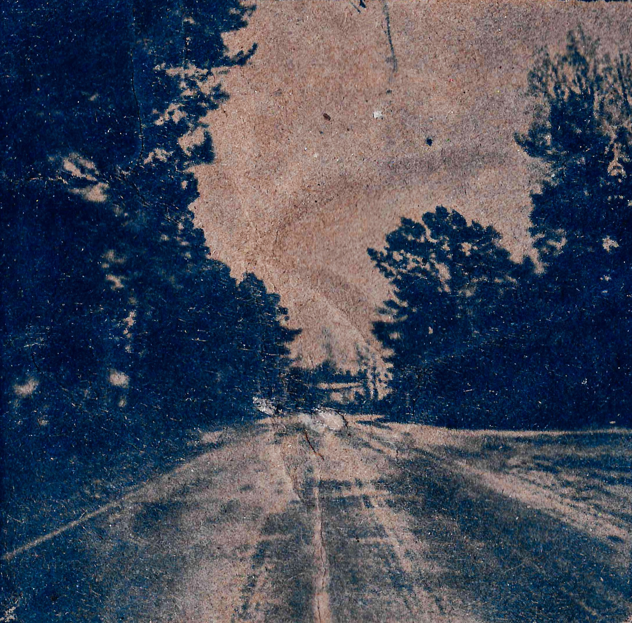 Укрытие. Катерина Эделева