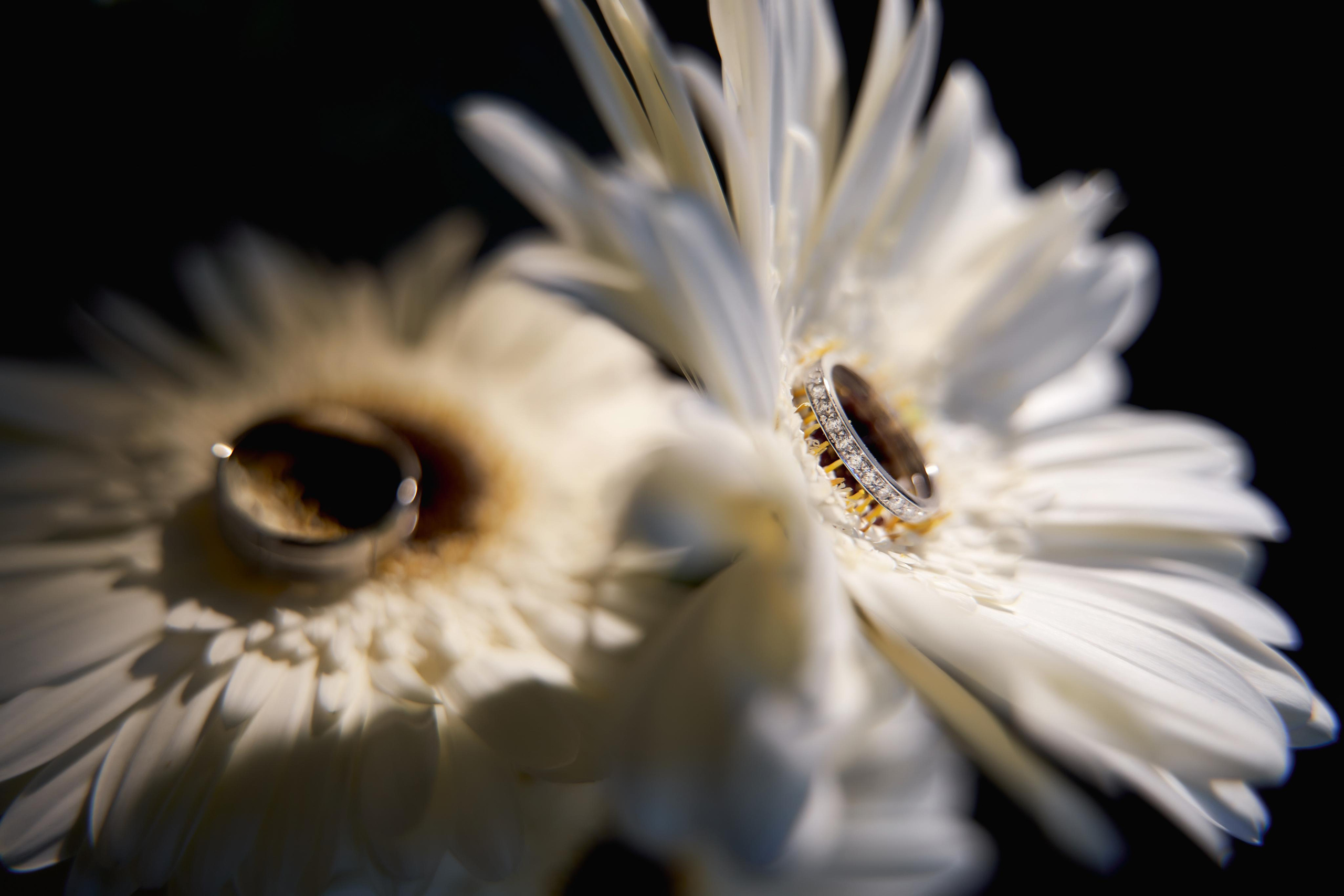 ПОРТФОЛИО TWINS STUDIO. ТВИНС СТУДИО — лучшие свадебные фотографы и видеографы в Краснодаре