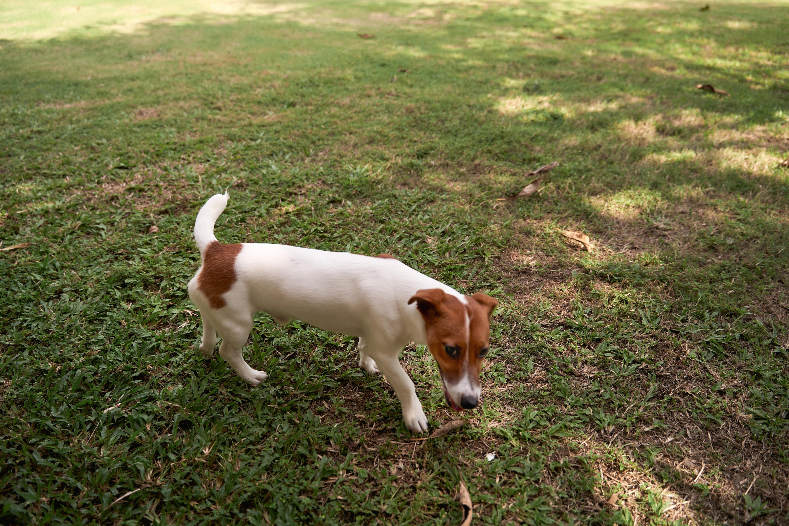 Свадьба на Bali по фото и видео от ТВИНС СТУДИО. ТВИНС СТУДИО — лучшие свадебные фотографы и видеографы в Краснодаре