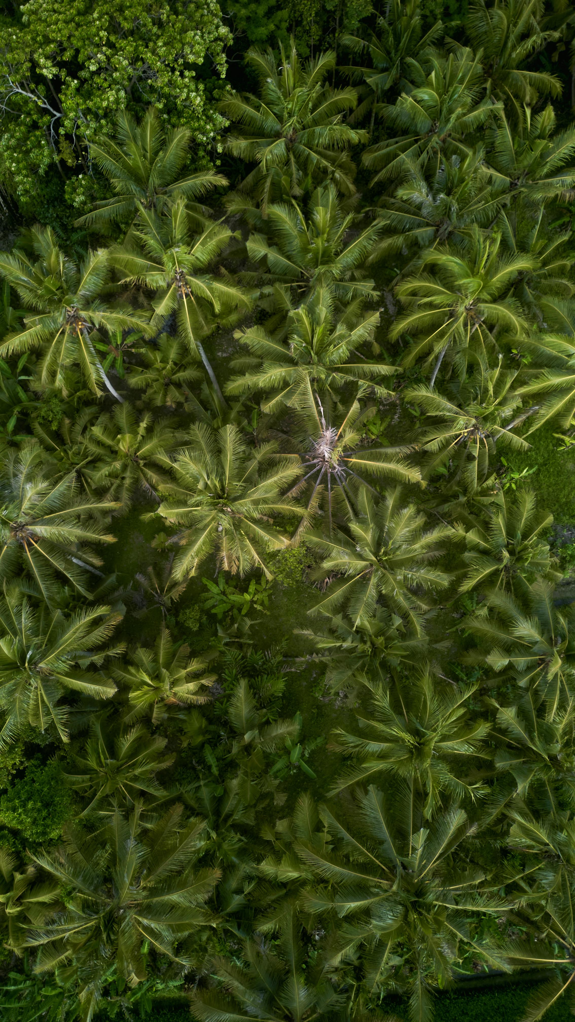 ПОРТФОЛИО TWINS STUDIO. ТВИНС СТУДИО — лучшие свадебные фотографы и видеографы в Краснодаре