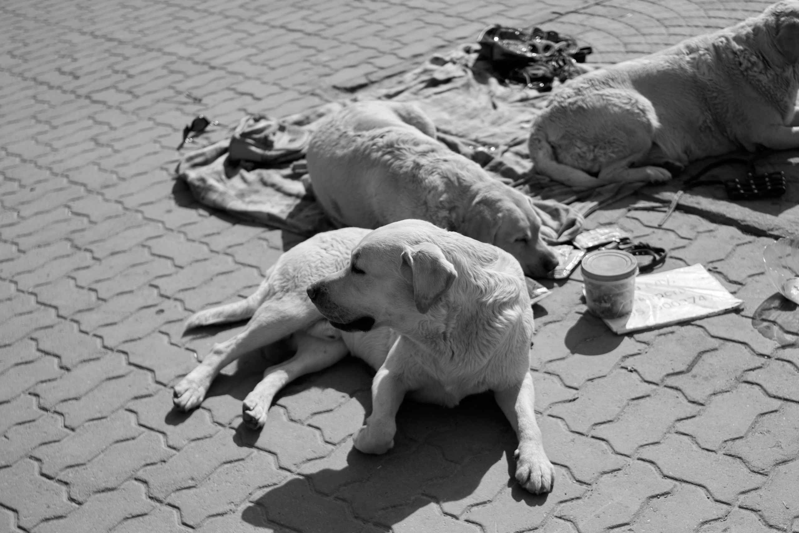 Творчество