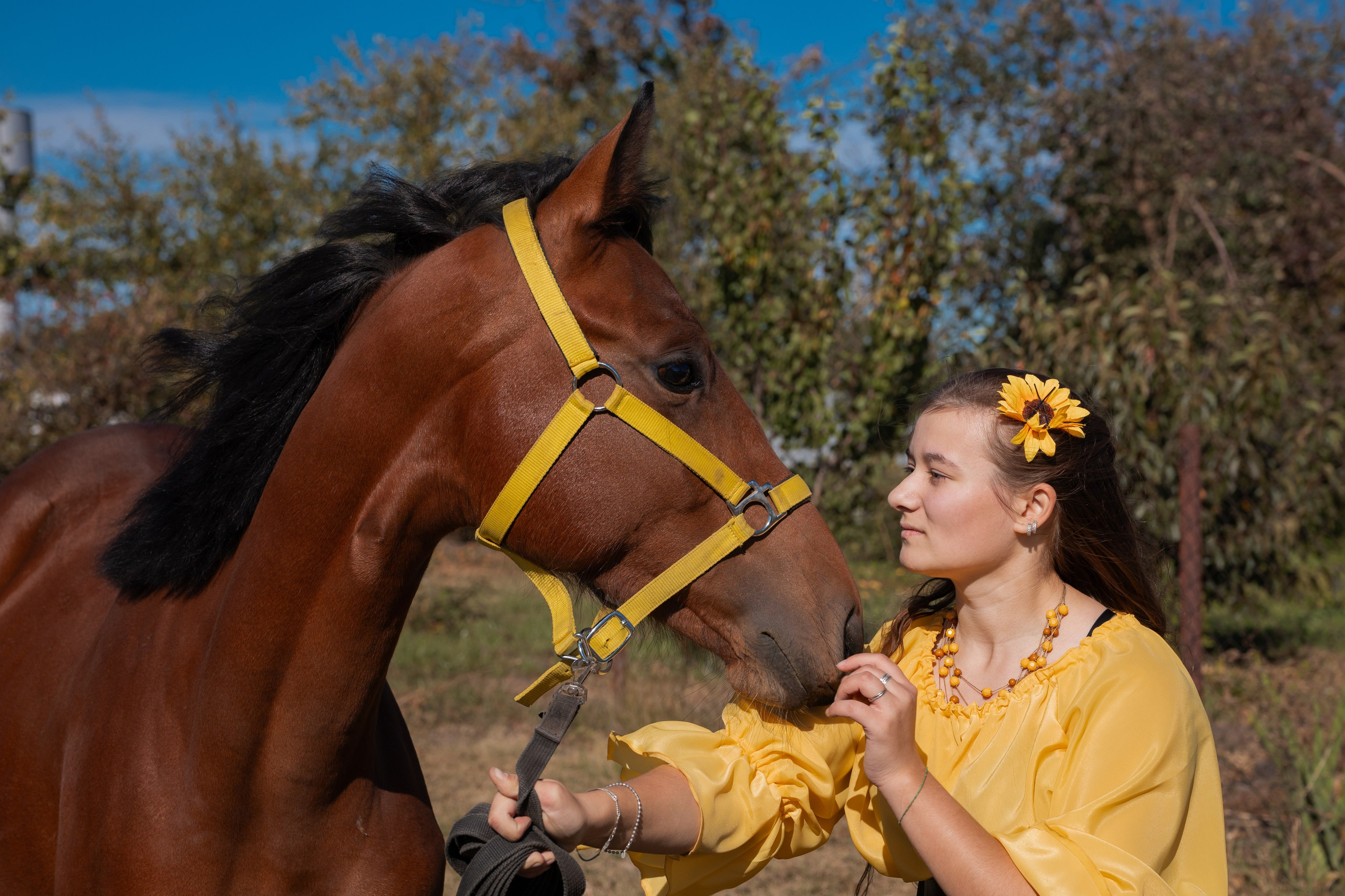 Фотосессия с лошадьми