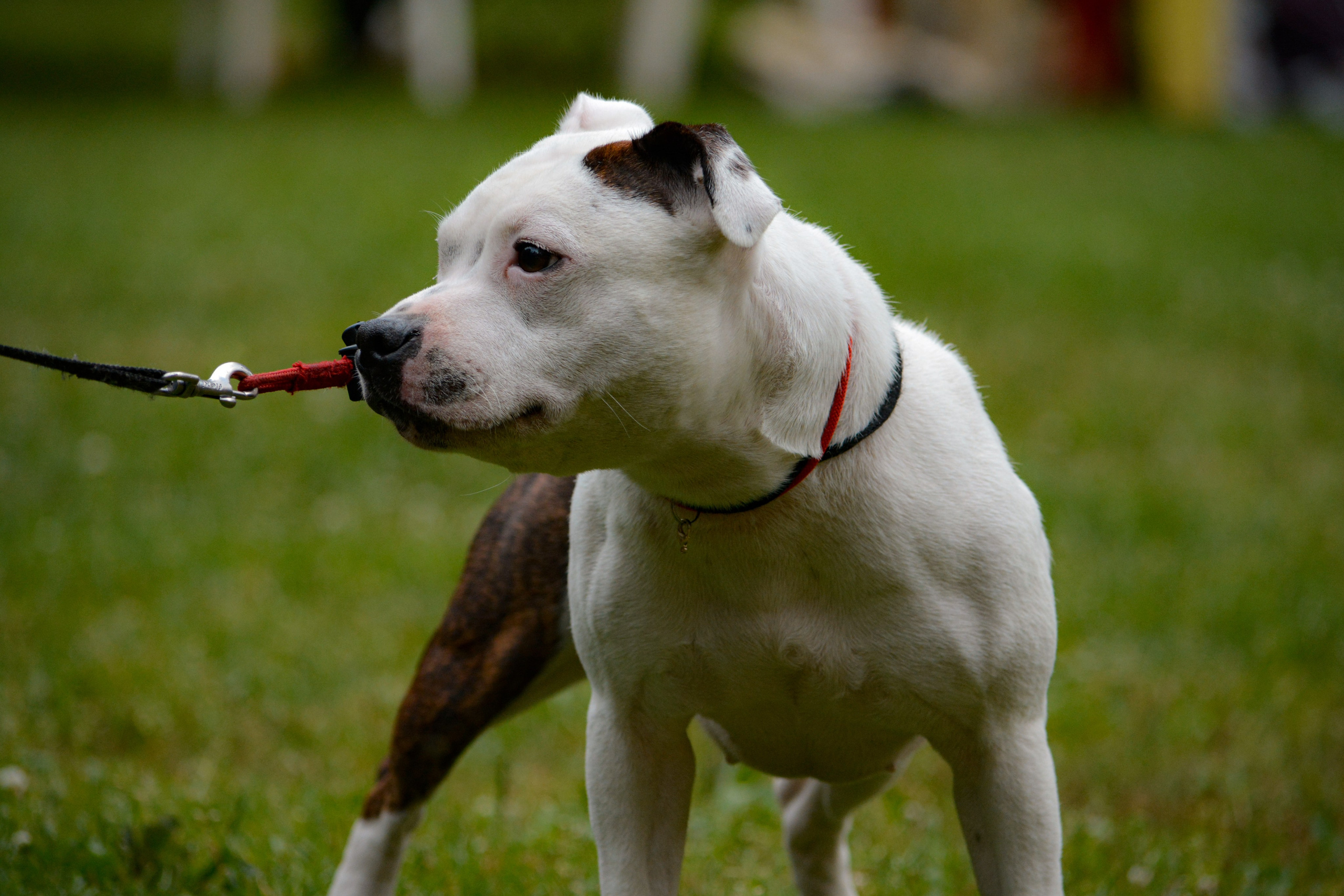 Reportage & Events. Фотограф Евгения Саботаж в г. Москва