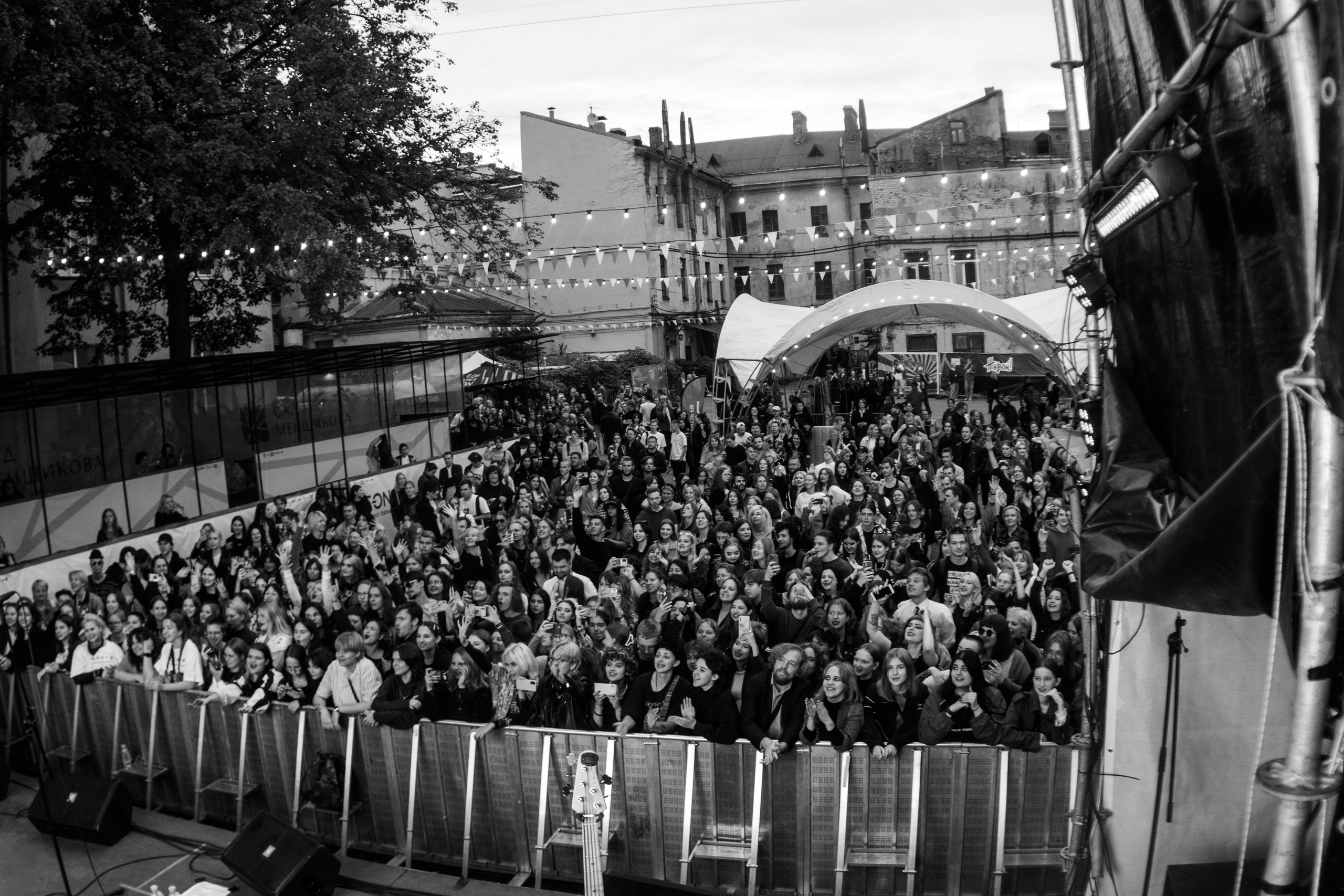 Щенки. Портретный и концертный фотограф в Санкт-Петербурге Егор Телятников