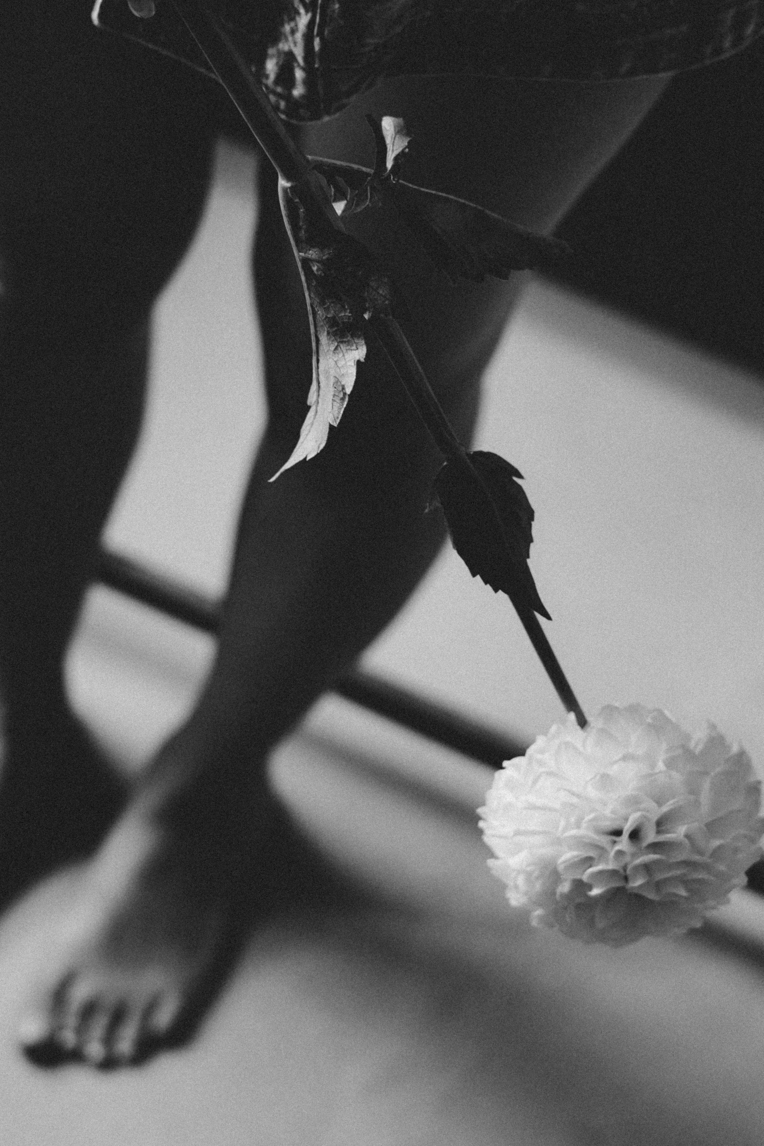 Индивидуальные съемки. Фотограф Новомосковск | Тула