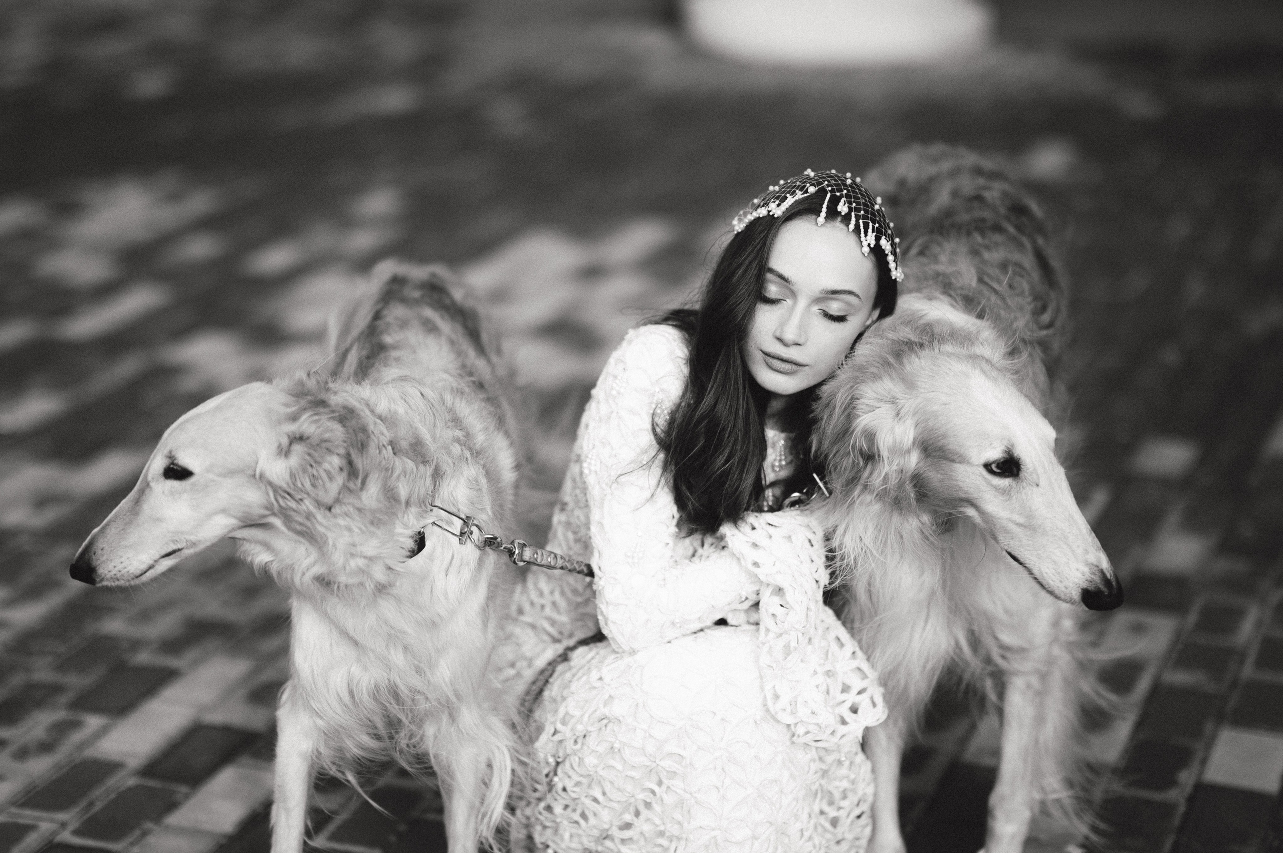 Свадебная история во дворце культуры с собаками