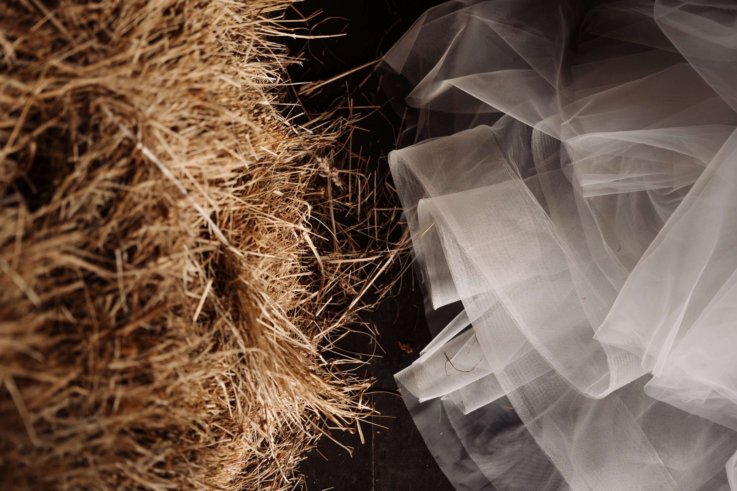 Арсений и Дина Ранчо. Свадебный и семейный фотограф Ксения Ржевская (Митрохина)