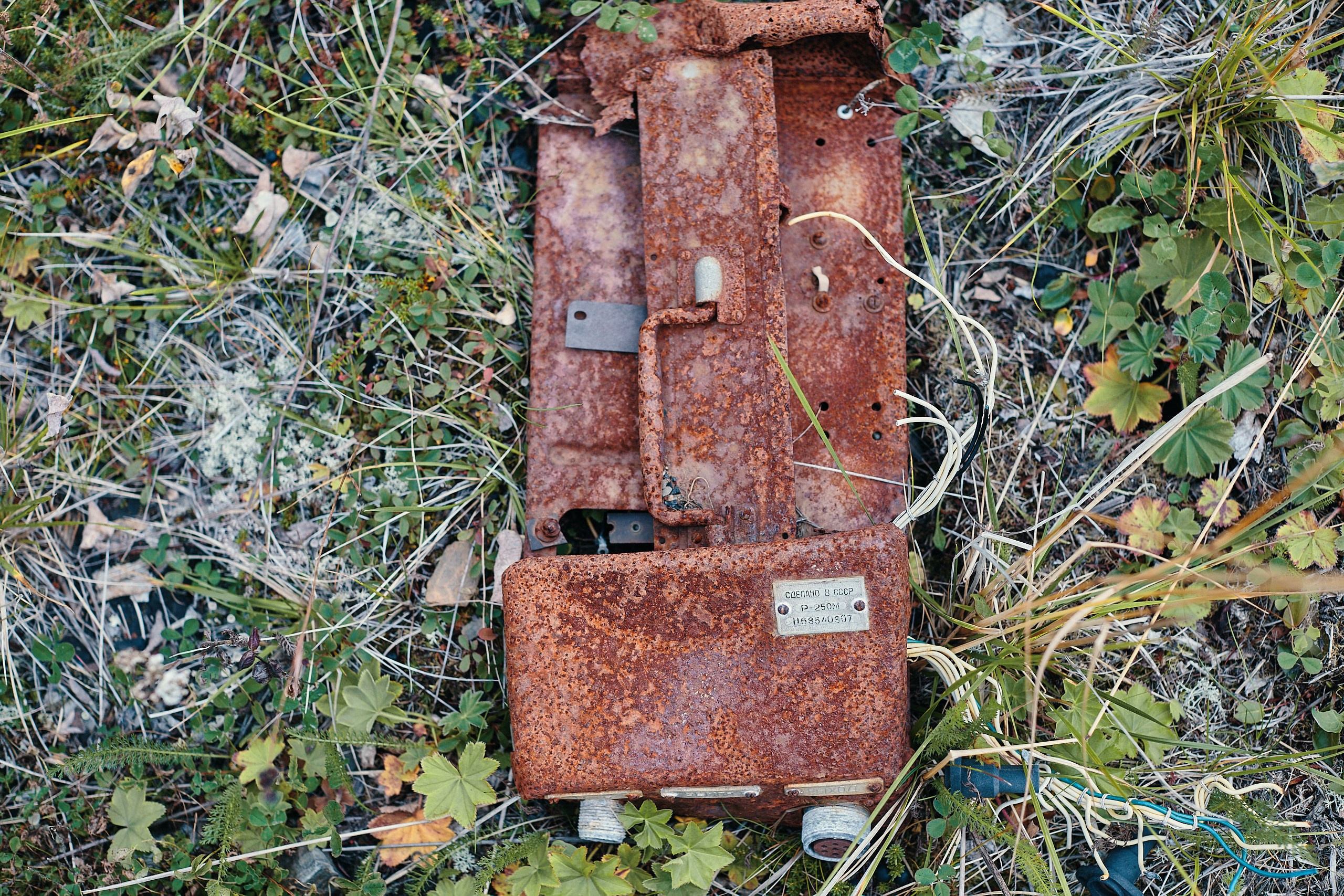 Рыбачий 2023. Место силы. Фотограф Валерий Сабрам